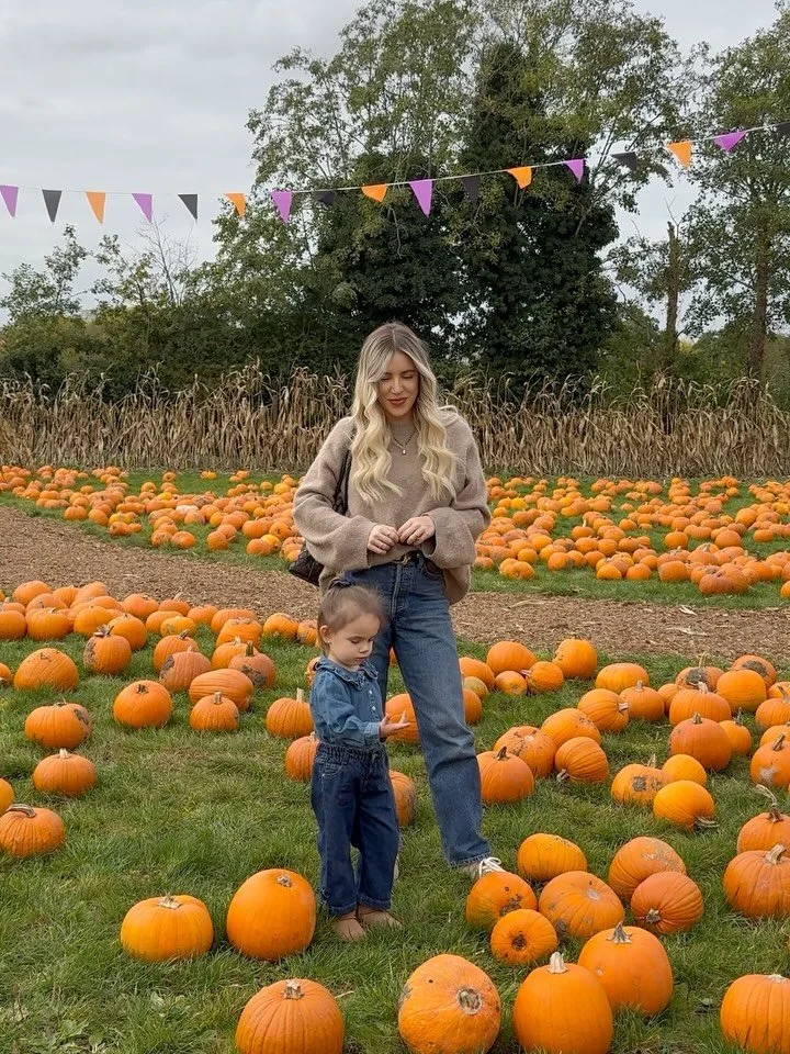 Pumpkin patch and autumn light 🍂🍁✨