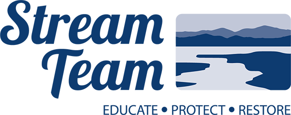 Stream-Team-Top-Volunteer-Tracking-Software-Best