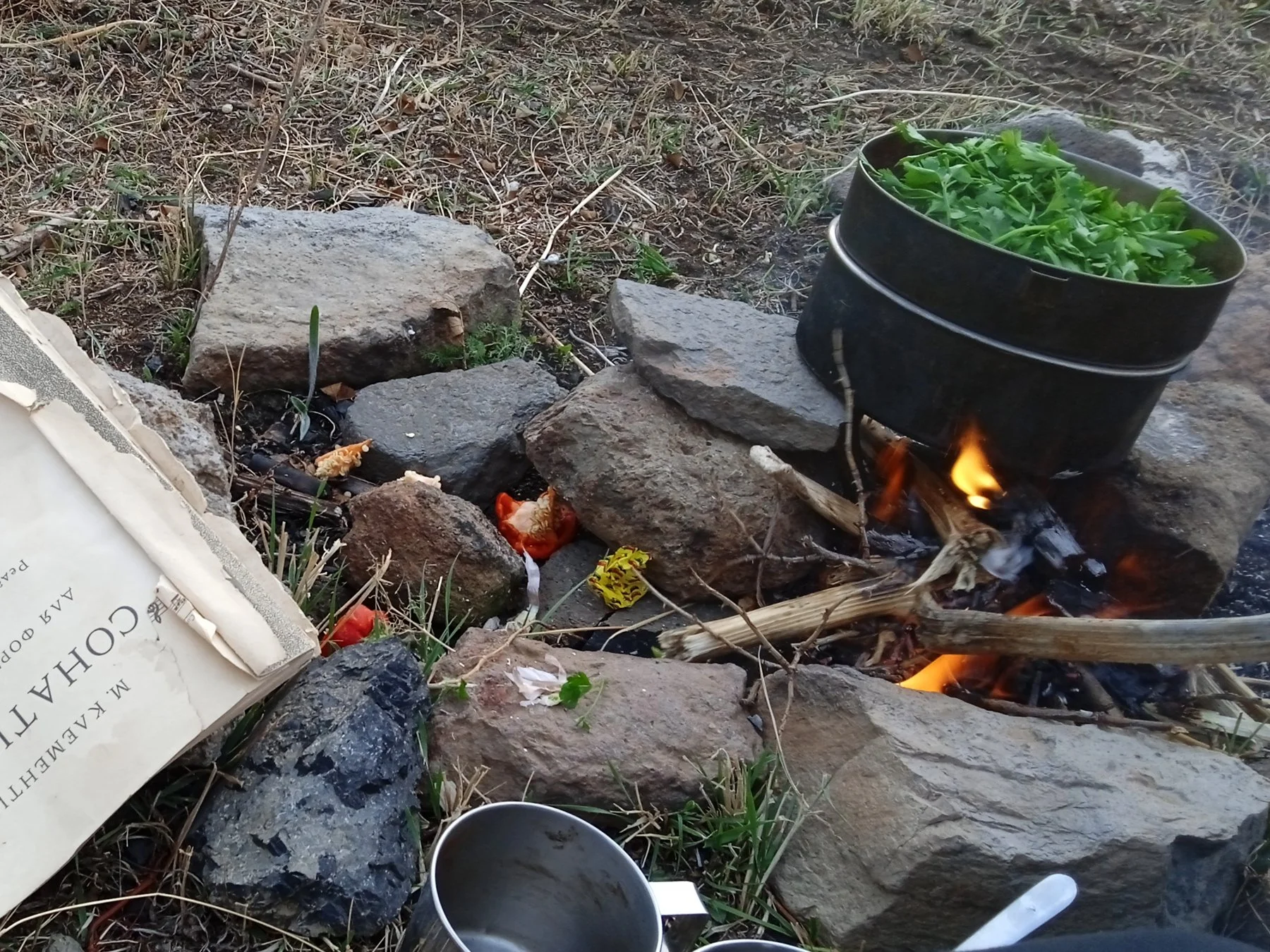 Kochen am Feuer.jpg