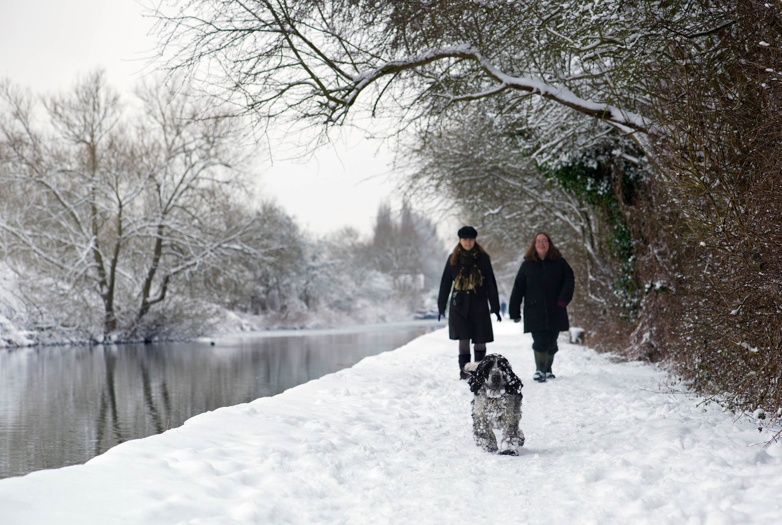  Lee Valley Park. River Lee Country Park in snow. Dog walkers on the towpath.  Shot by Eleanor Bentall, photographer. 