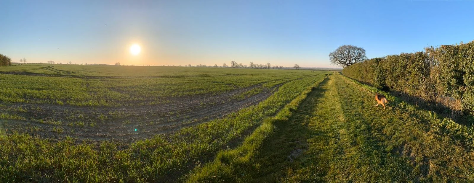 QWH walking in the country.jpg