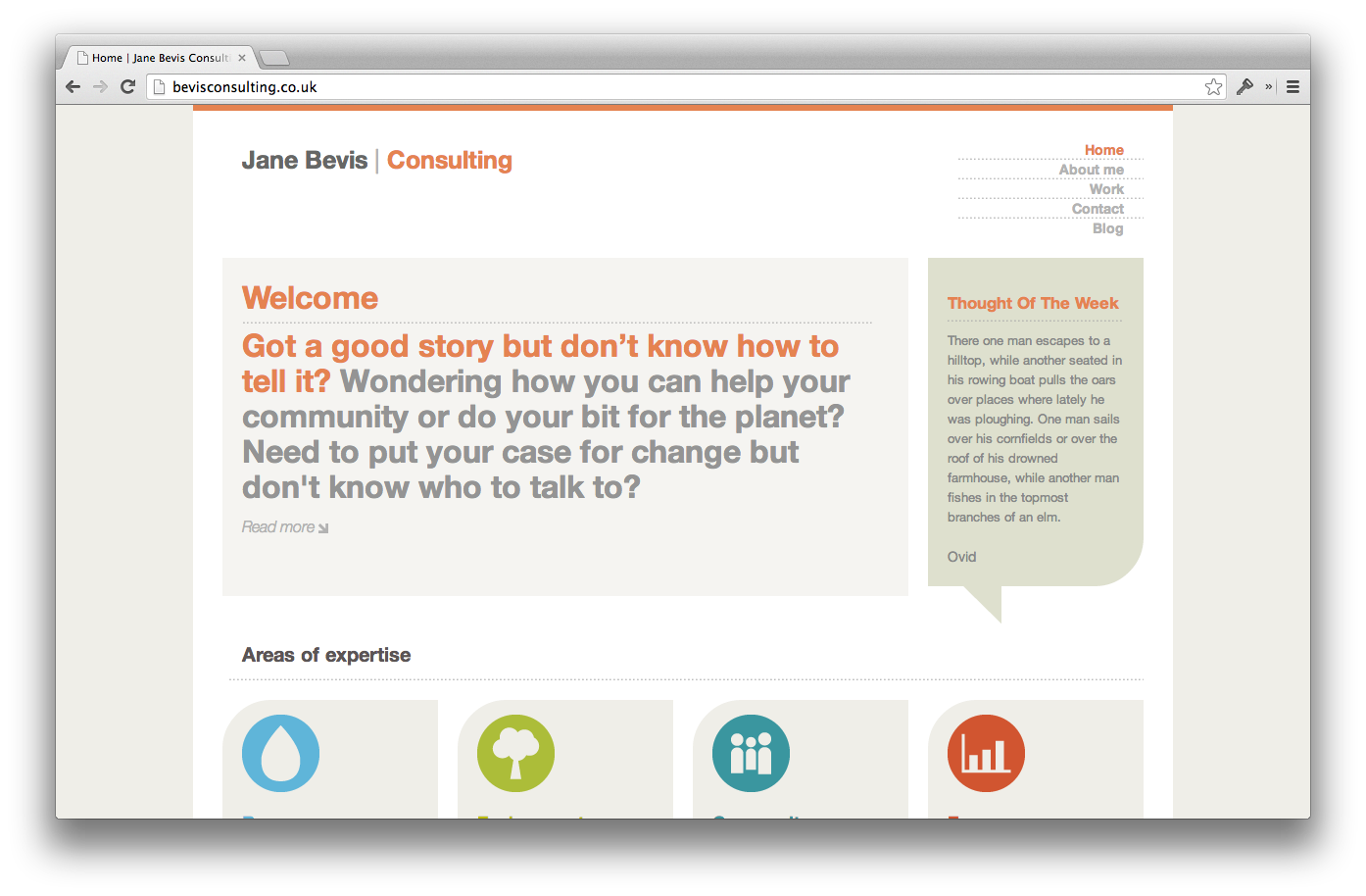 Bevis Consulting
