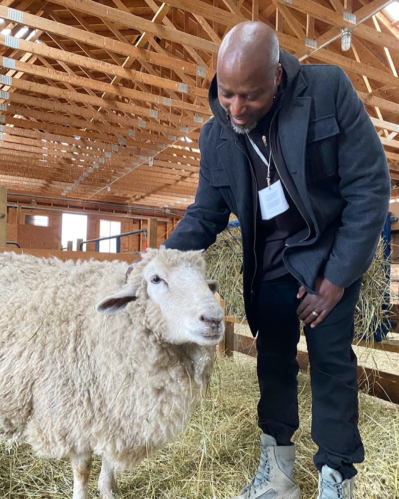 One of the best parts of staying at The Gray Barn is the private tour of @woodstocksanctuary!

Over an hour of meeting some of the incredible rescued residents, being inspired by their stories and of course lots of cuddles❣️