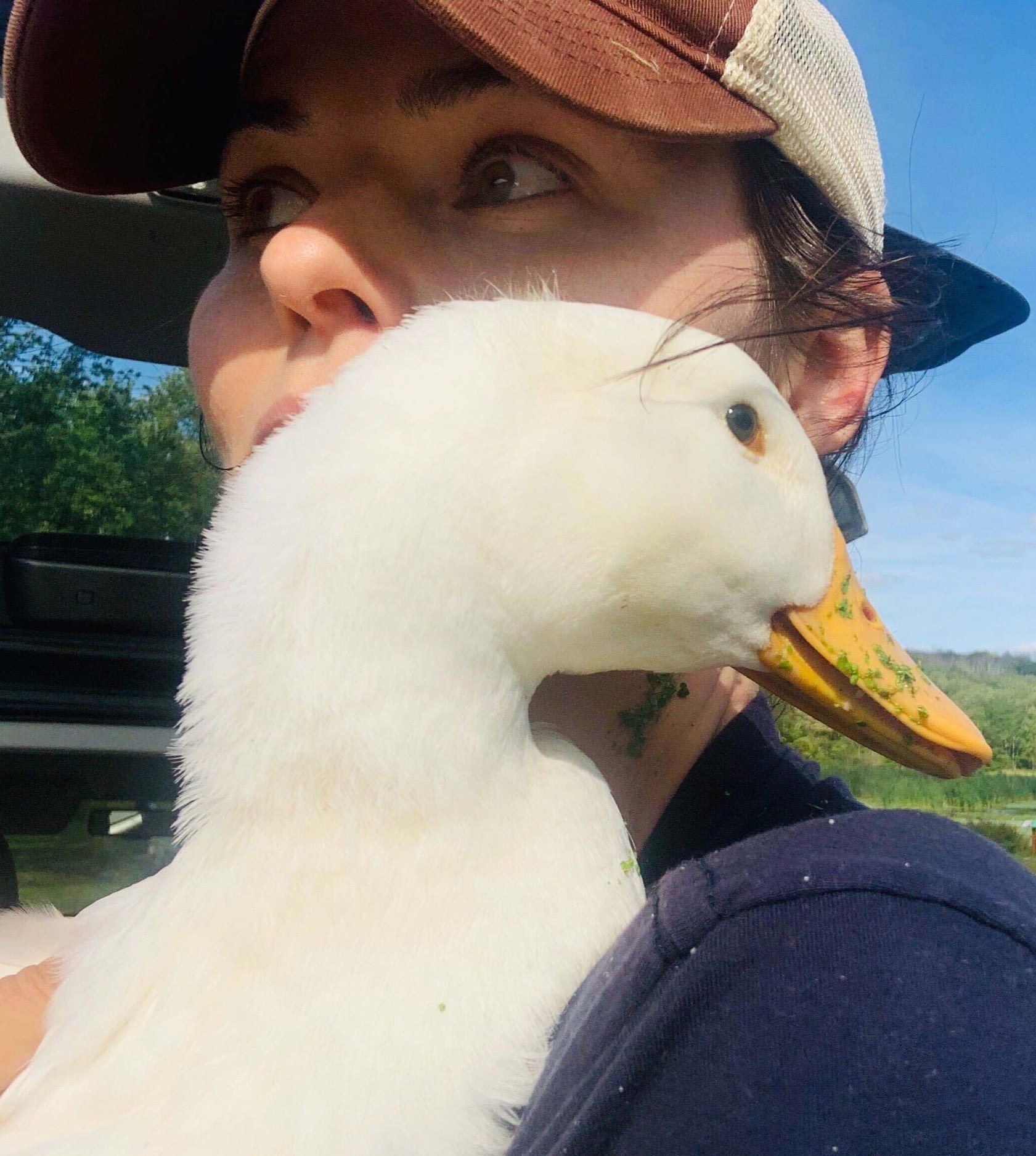Save-The-Bird-Campaign-Woodstock-Farm-Sanctuary-3.jpg