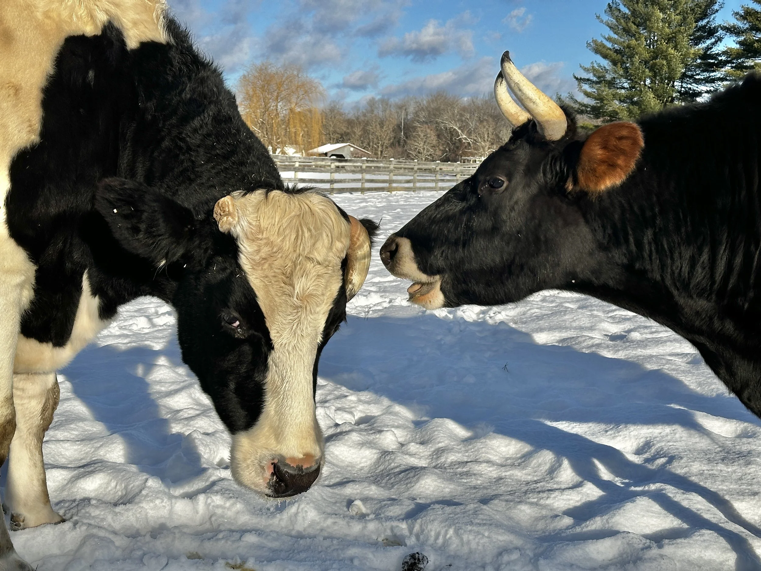 Looking Back on 2025