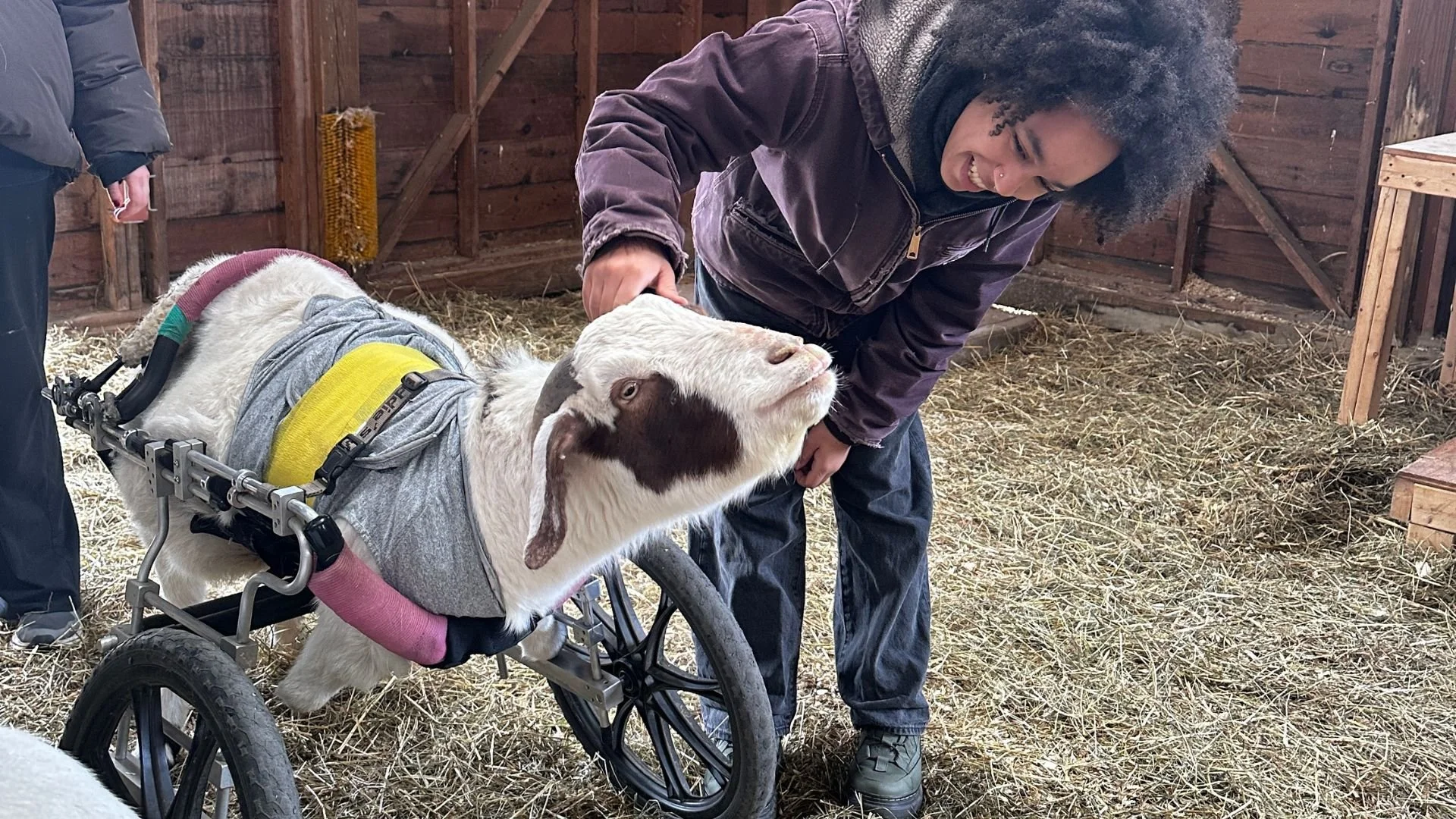 Visit Us for the 2026 Public Education Season!