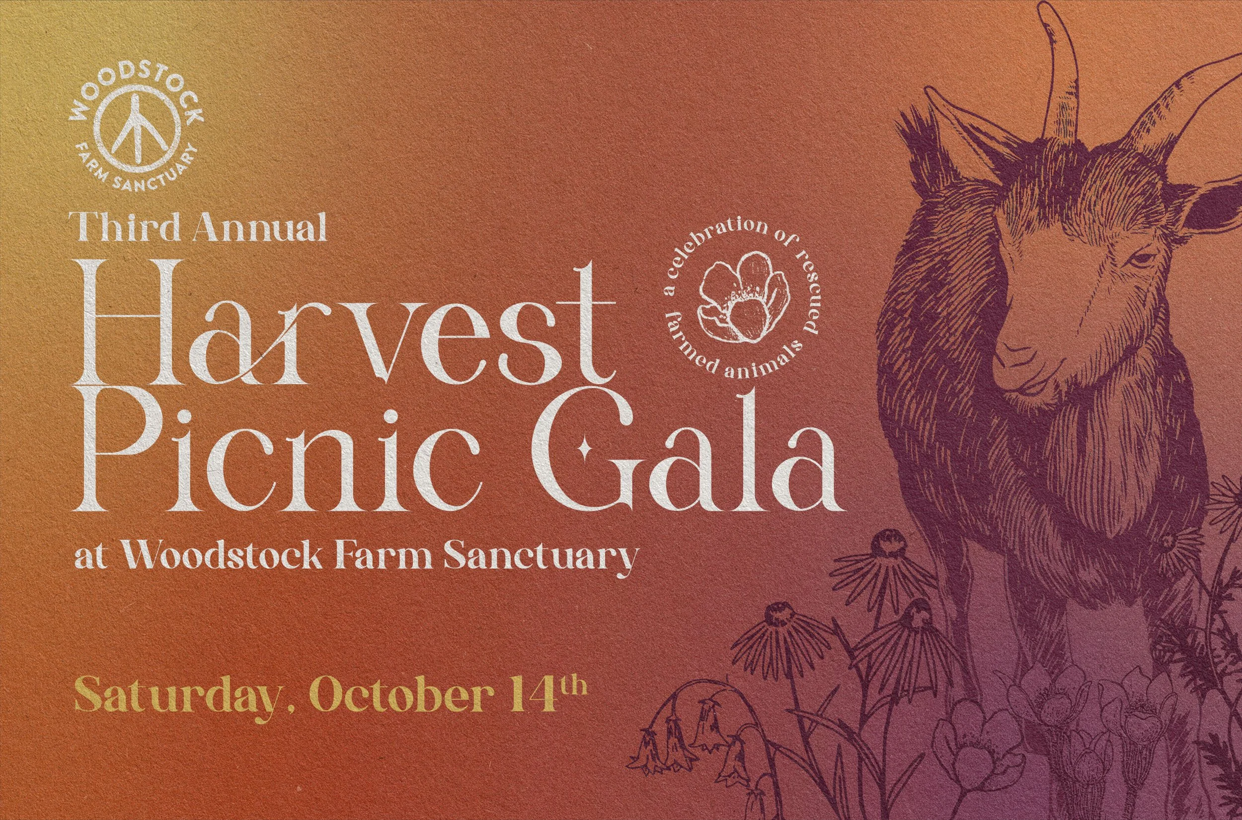 Harvest Picnic Gala Woodstock Farm Sanctuary