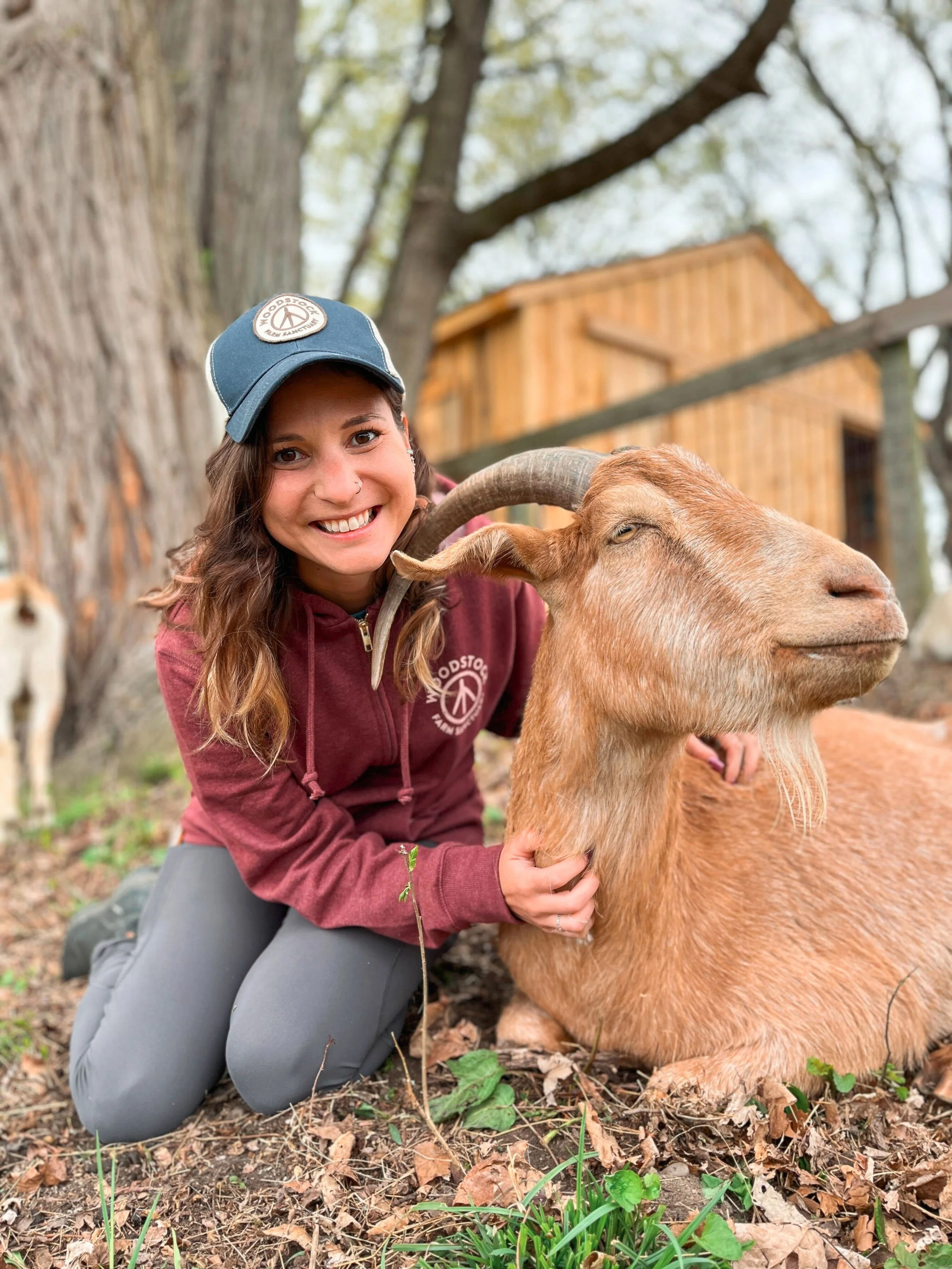Team Woodstock Farm Sanctuary