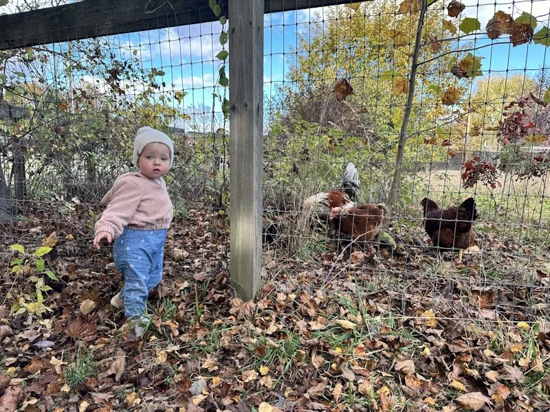 Visit Woodstock Sanctuary in Fall