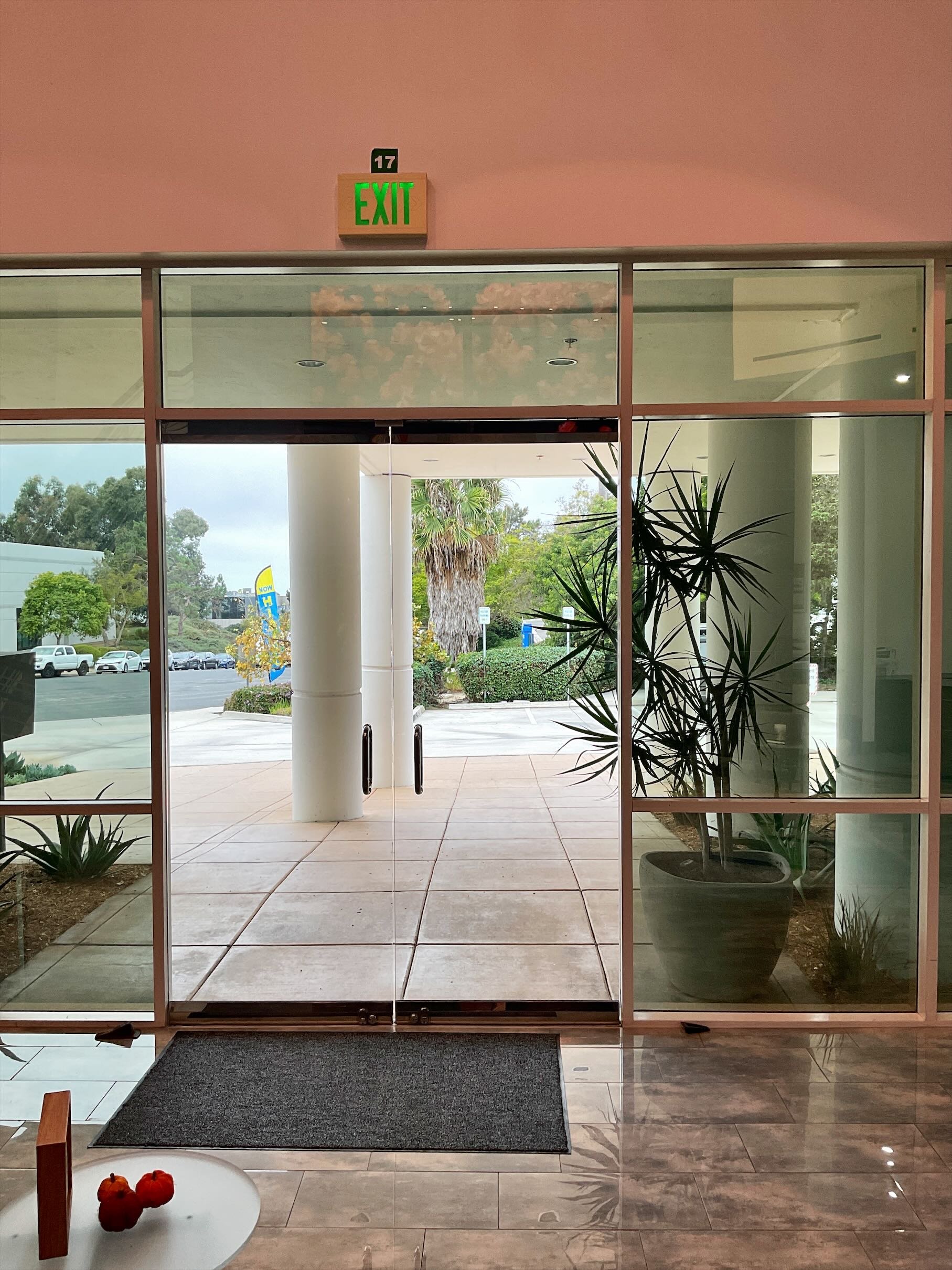 Entry Exit Door Security