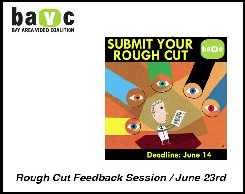 BAVC Feedback Screening