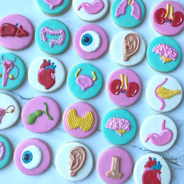 For all my anatomy loving peeps! Name that organ. 🤓Congratulations on completing your advanced Pathophysiology class Danise! That is some very difficult content you just conquered. And- I Never knew organs could look like a party.🎉 #confettiyeticoo