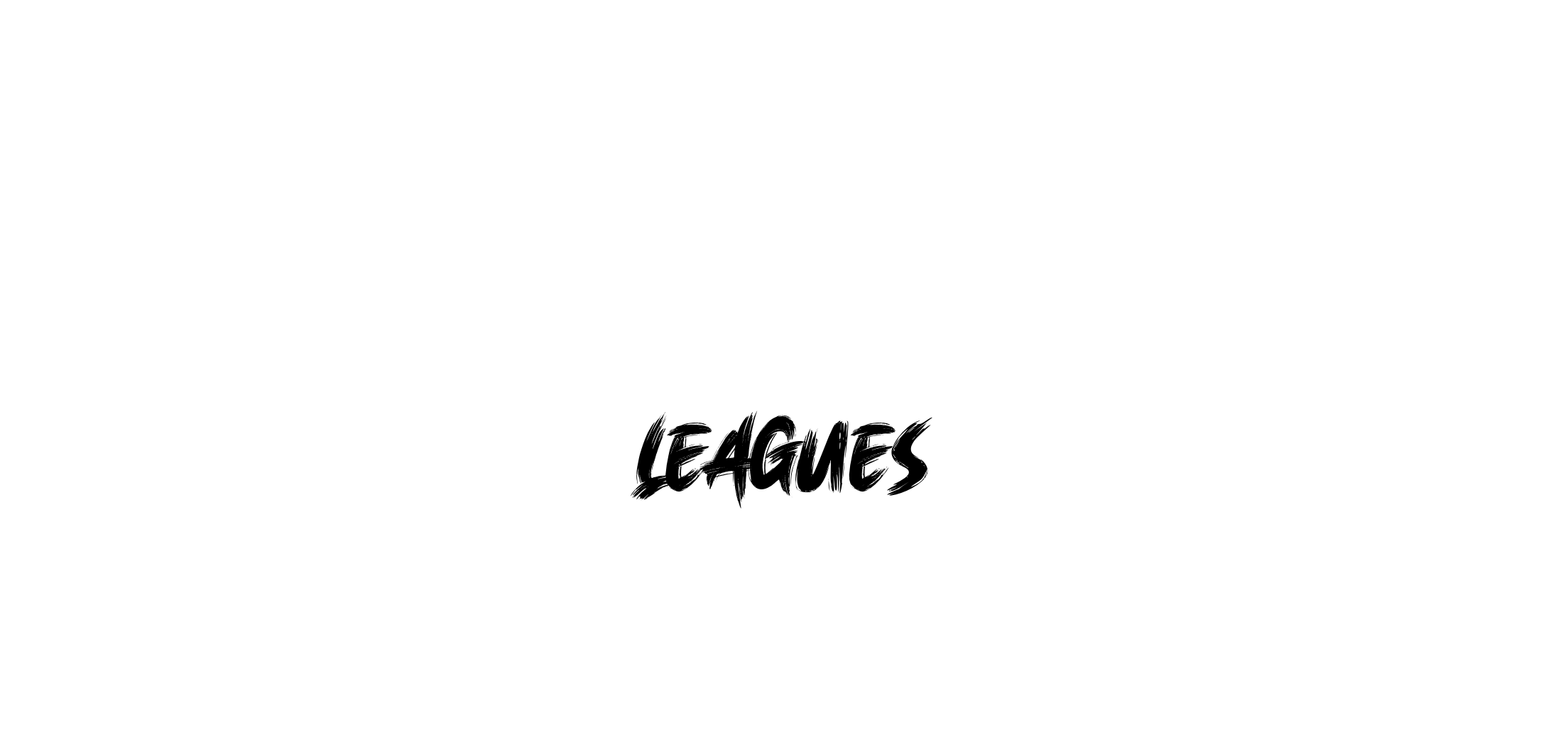 Leagues — Florida Premier FC photo