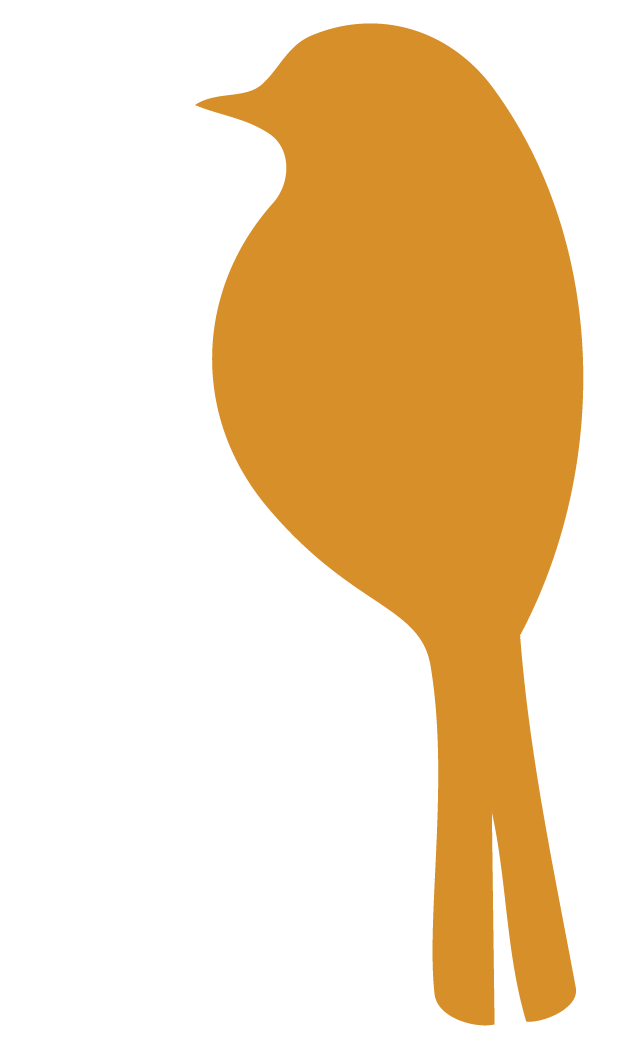 Oransje illustrasjon av fugl