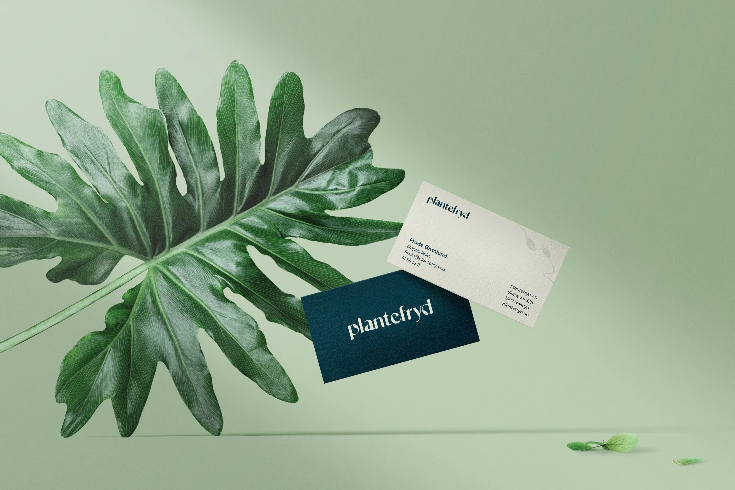 plantefryd visittkort