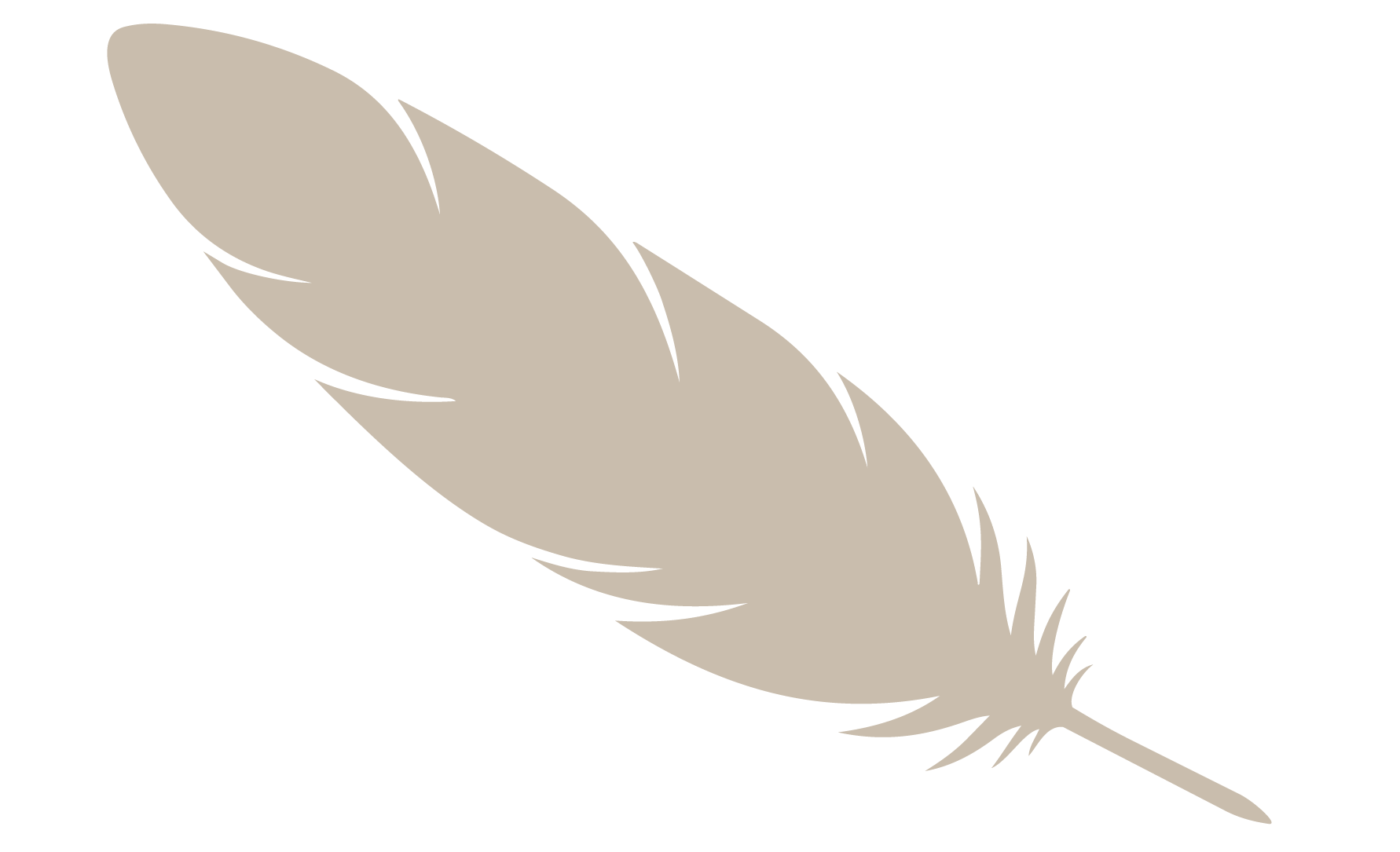 Illustrasjon av en beige fjær