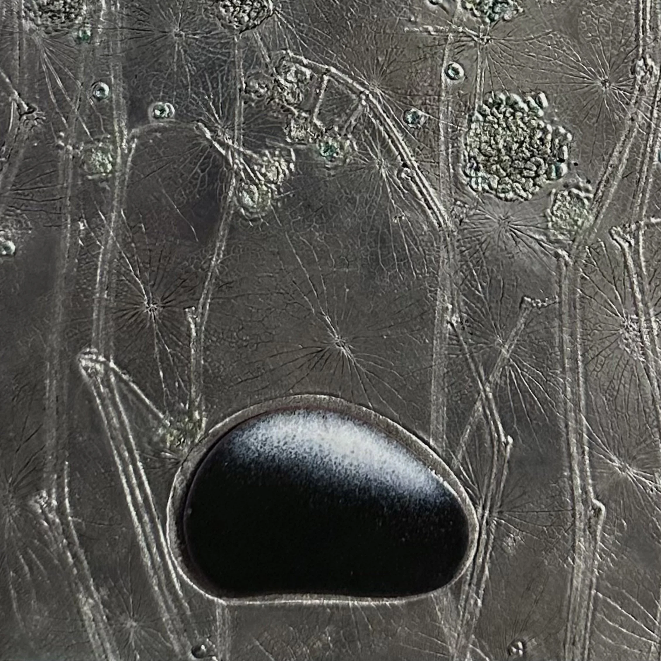 Sleeping Bear and the Winter Storm detail.jpg