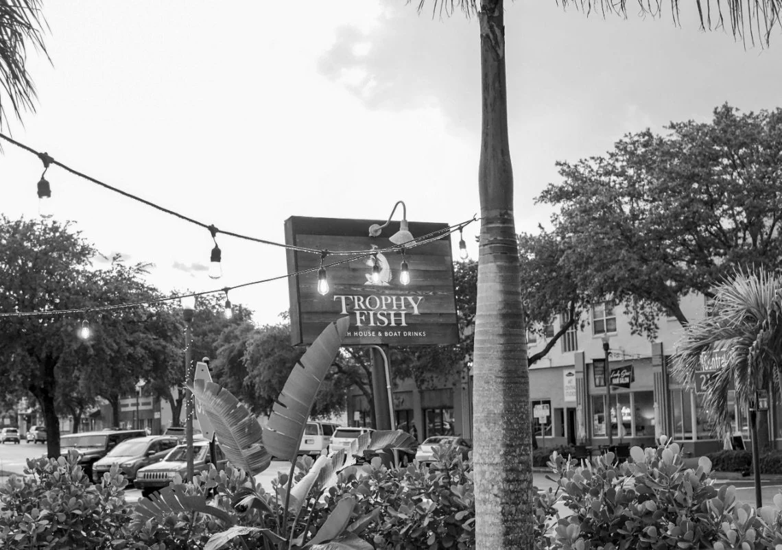 Screenshot 2023-11-12 at 11.01.19 AM.jpeg