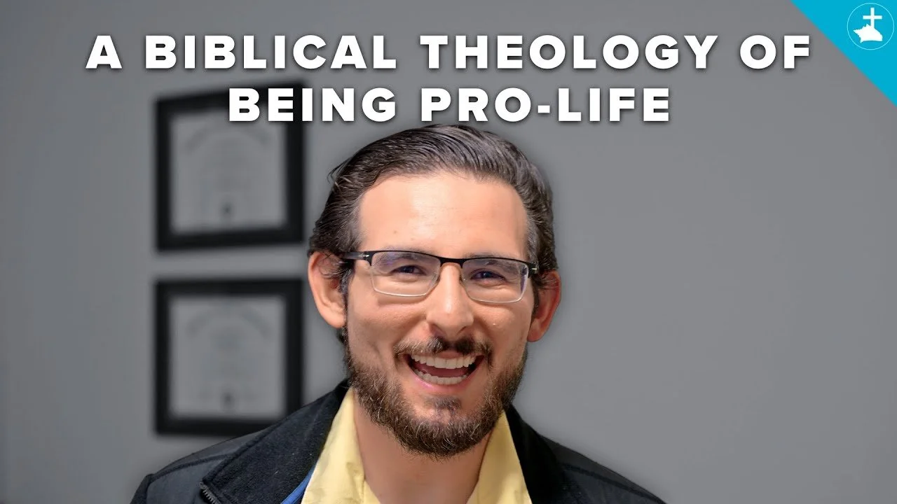 Weekly Update | January 20th