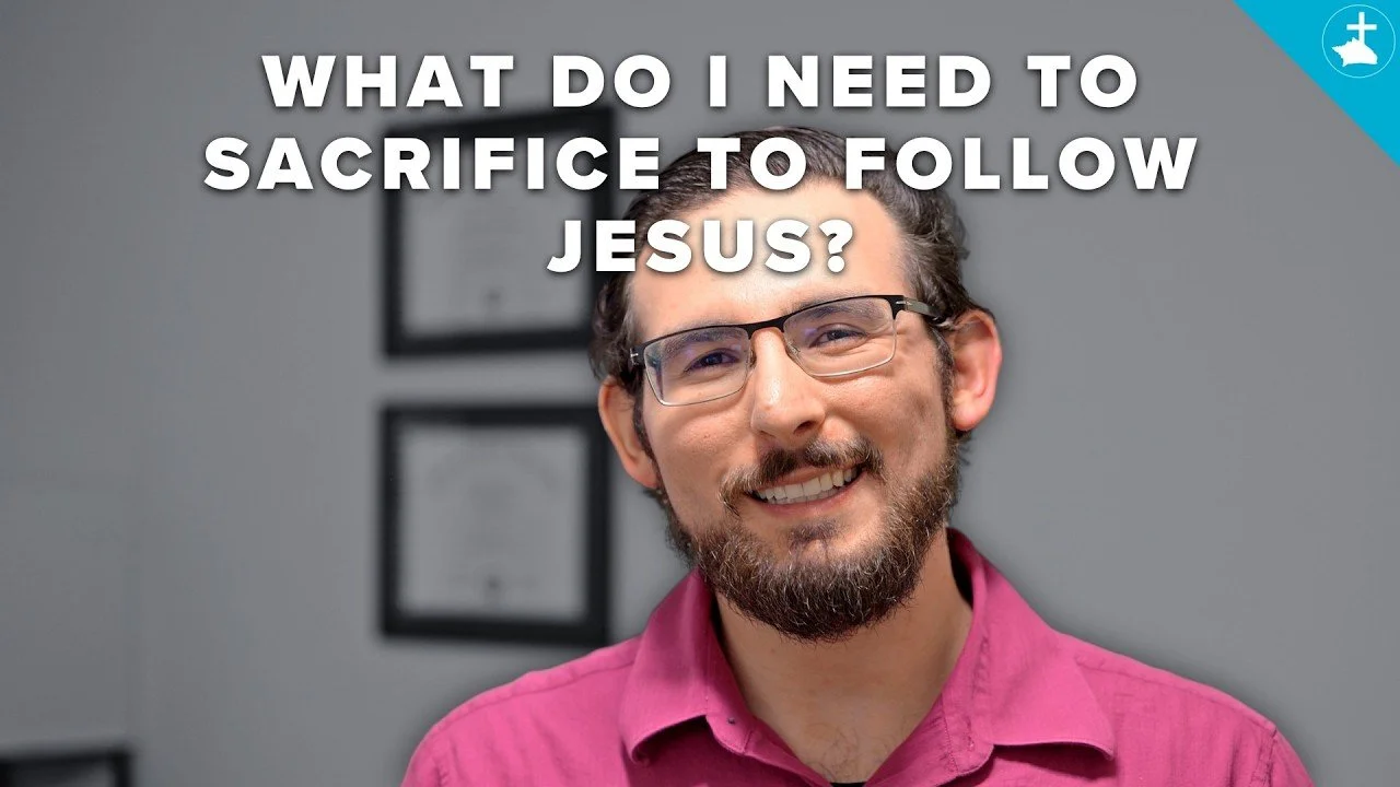 Weekly Update | February 17th