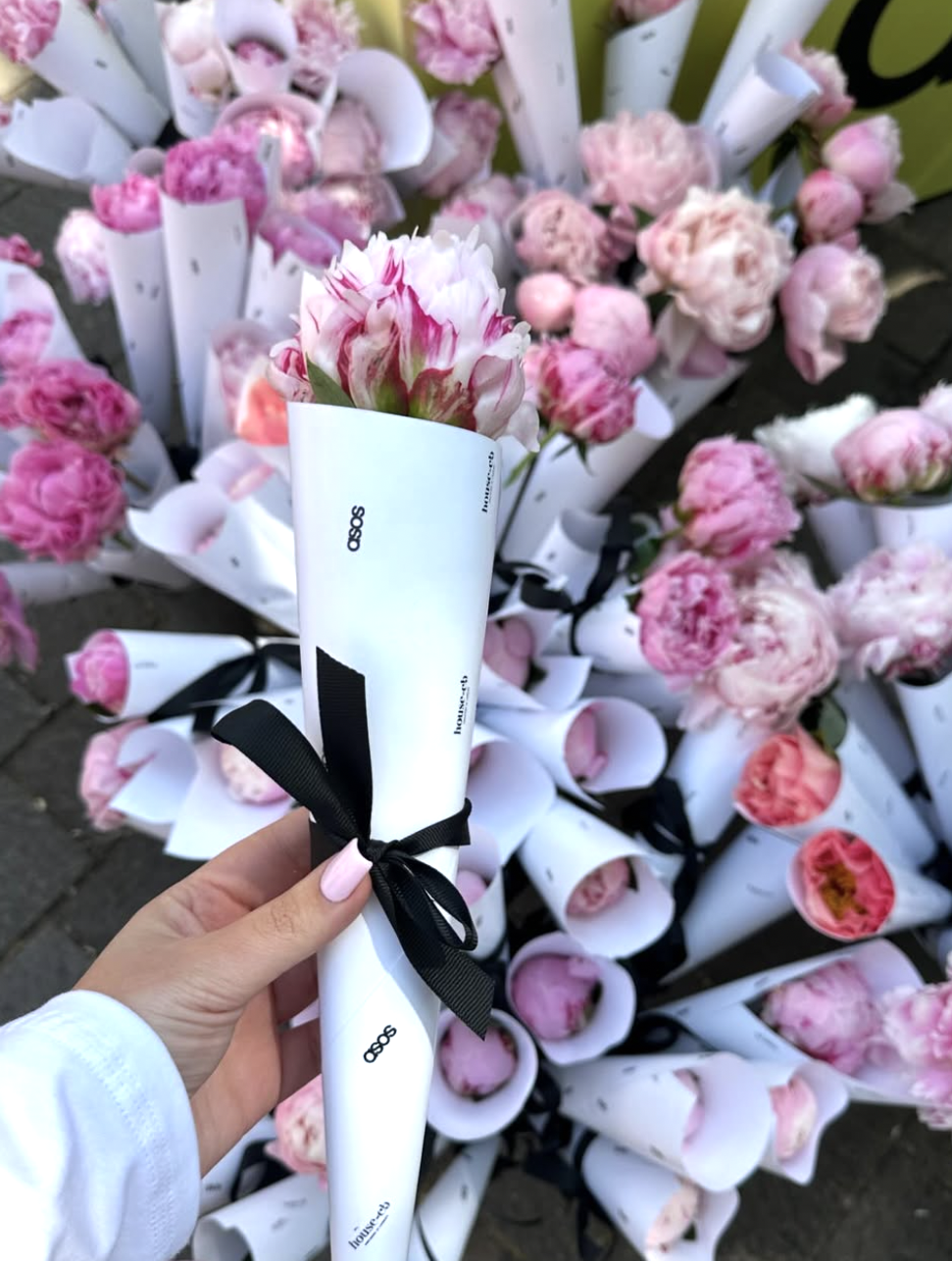 Screenshot 2026-03-10 at 14.44.49.png