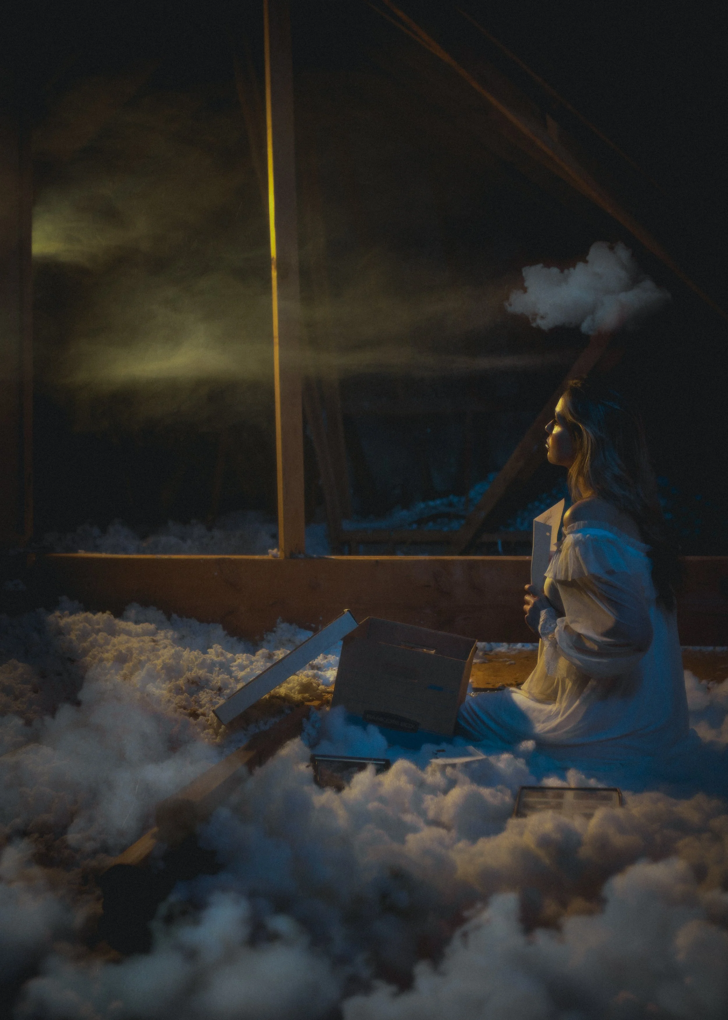 Attic of Memories.jpg