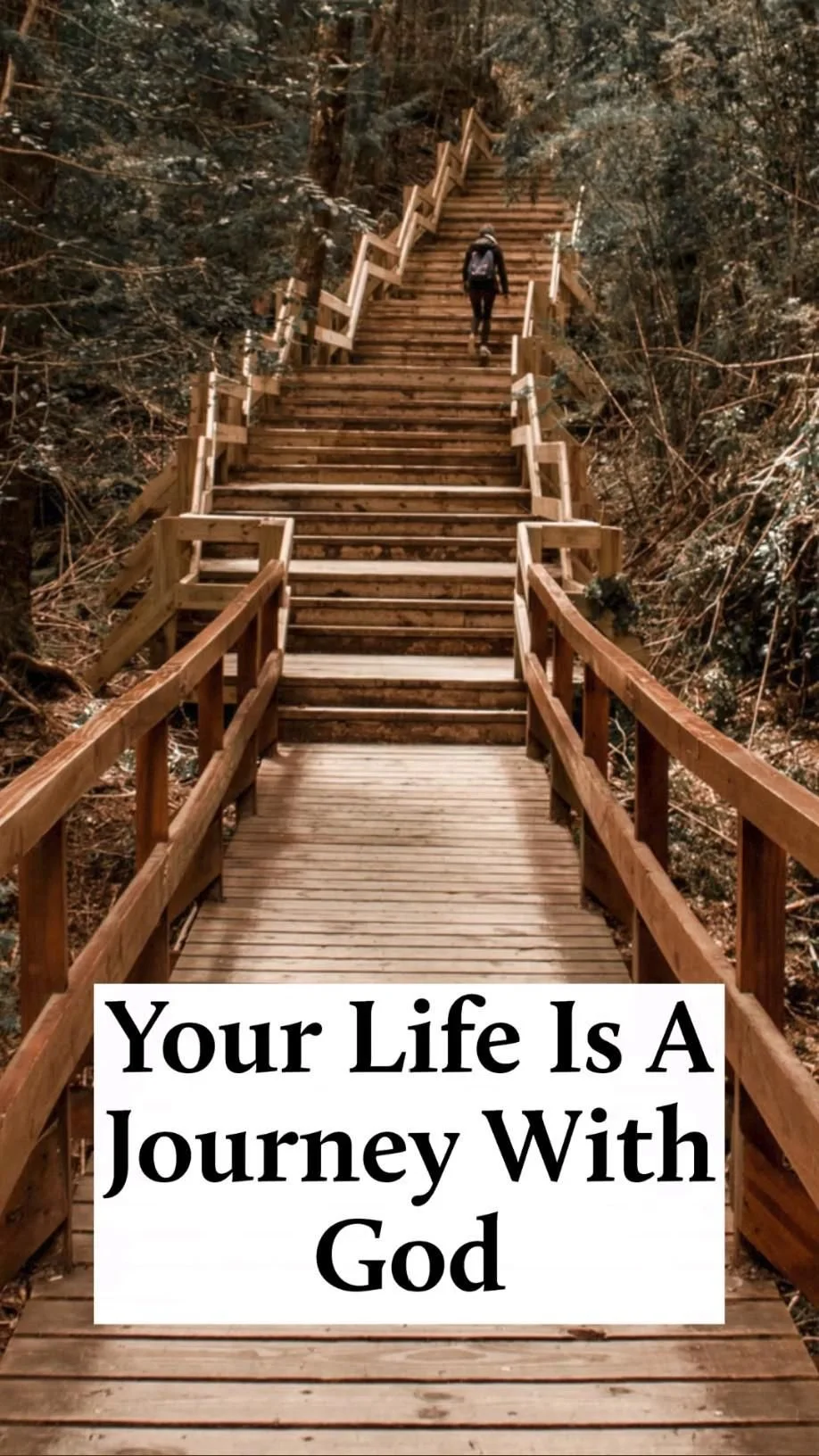 A Lifelong Journey.jpg