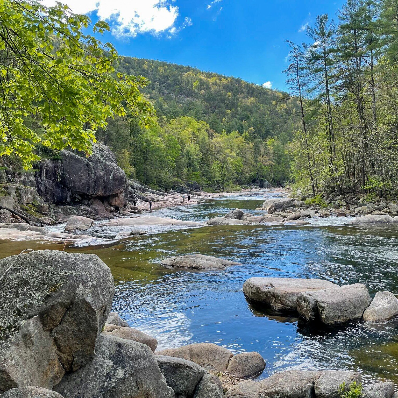 We'd rather be on Wilson Creek! 🎣

One of the primary areas of focus for our work in Caldwell County has been protecting Wilson Creek, a nationally designated National Wild and Scenic River:

🟢 From 2007 to 2009, FCNC led the permanent protection o