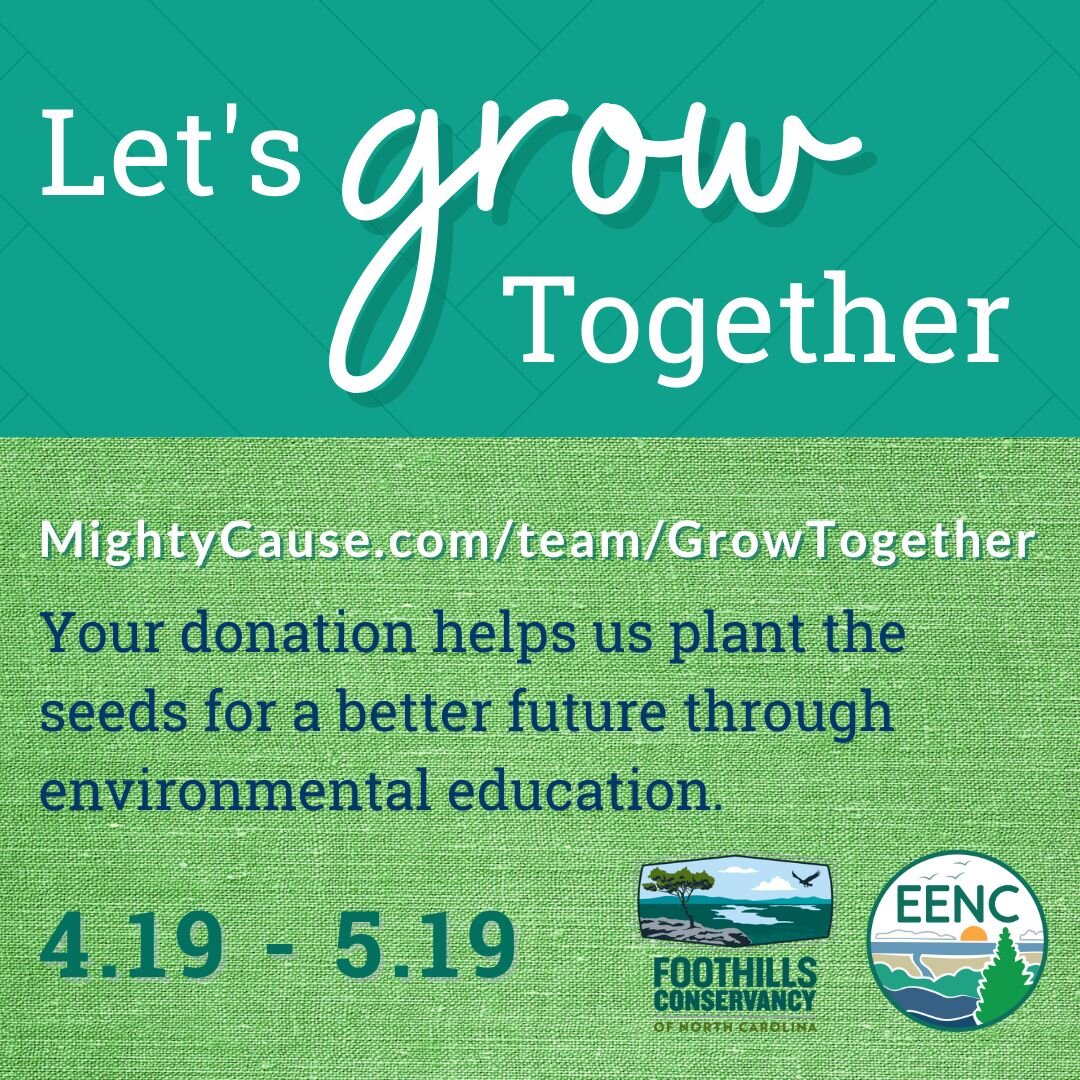 We are excited to be participating in the Let&rsquo;s Grow Together fundraising campaign, organized by @eenc.online to support environmental education organizations &ndash; Foothills Conservancy included &ndash; across North Carolina!

The campaign i