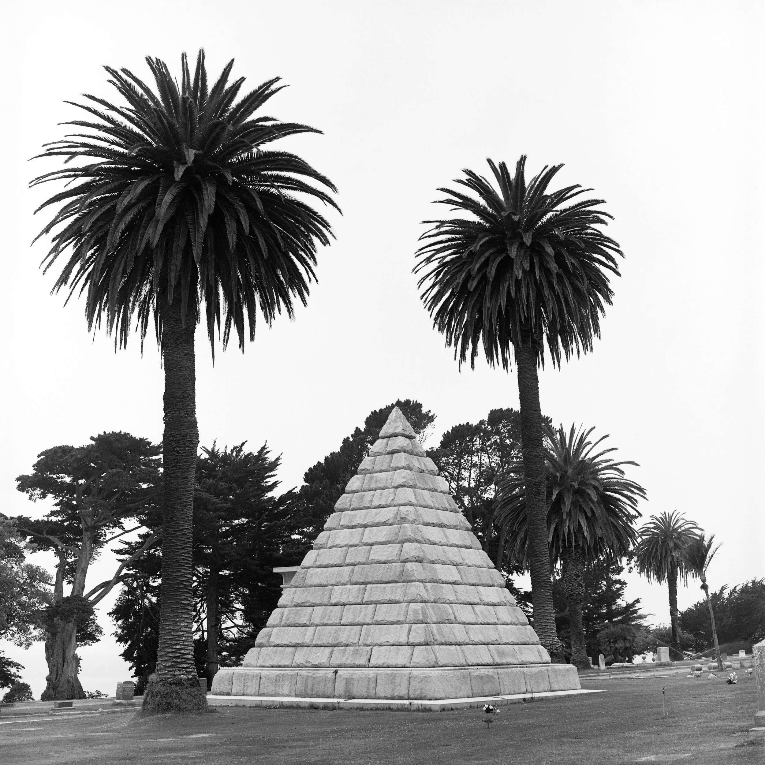 pyramid&palms14x14.jpg