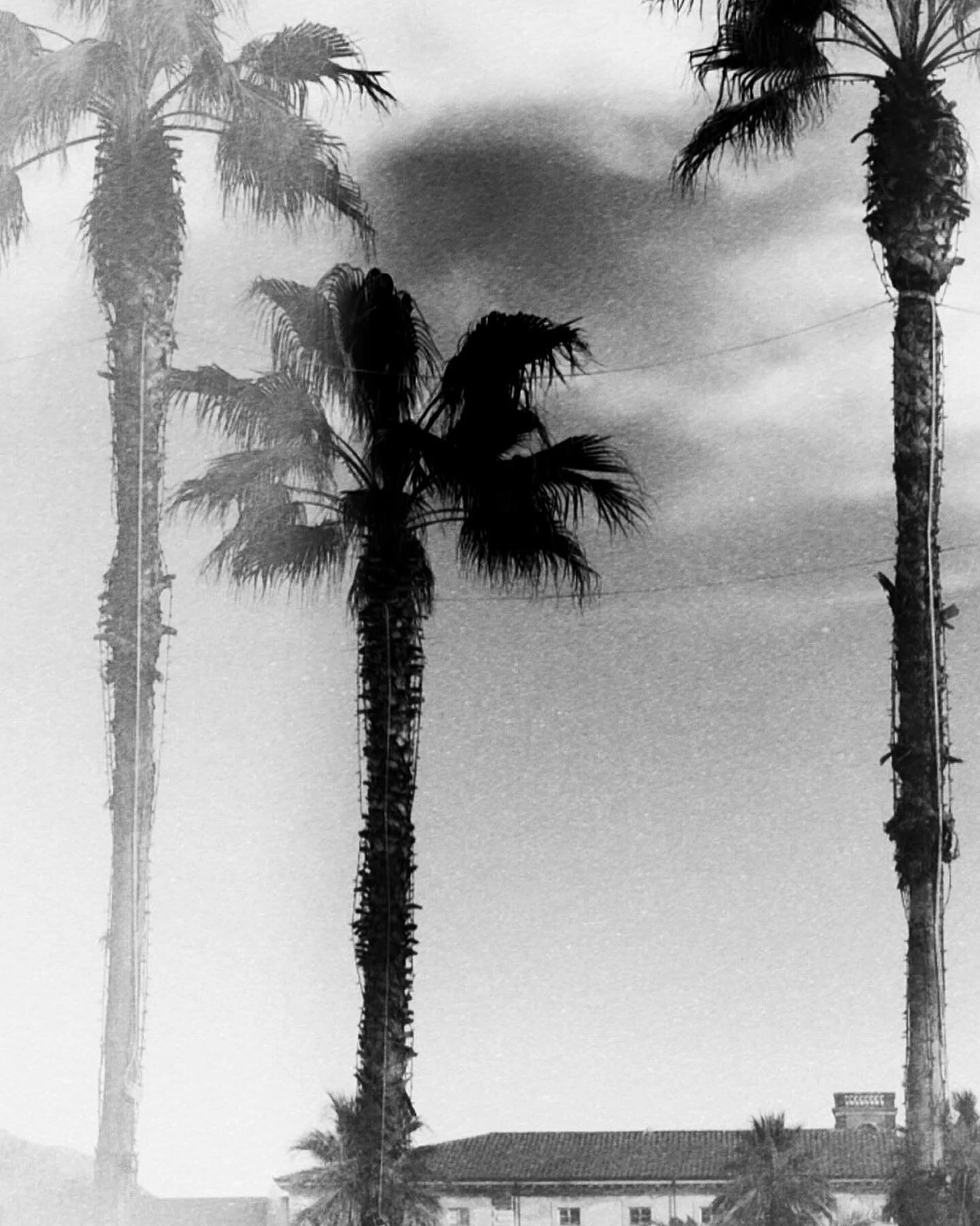 Middle week day off .
.
#viareggio #viareggiobeach #versilia #italianriviera #tuscani #beachlife #beautifuldestinations #blackandwhitephotography #nikon