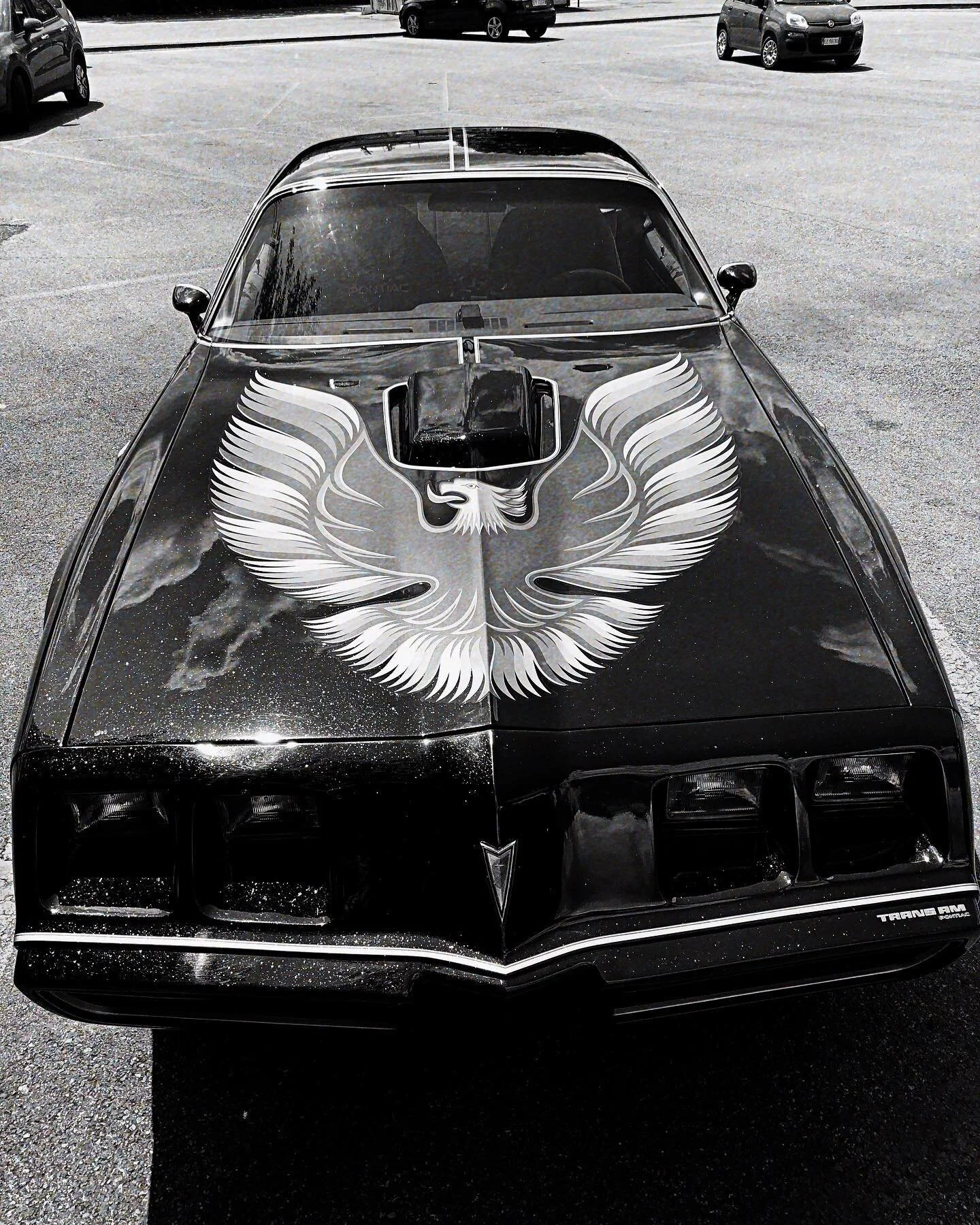 Gorgeous looking muscle car!🔥 I found this bad boy parked in the city center of my home town. Just like that! 
1980 Pontiac Firebird .
.
.

#musclecars #drivetastefully #motorsportphotography #classiccars #automotivedaily #classiccarsculture #classi