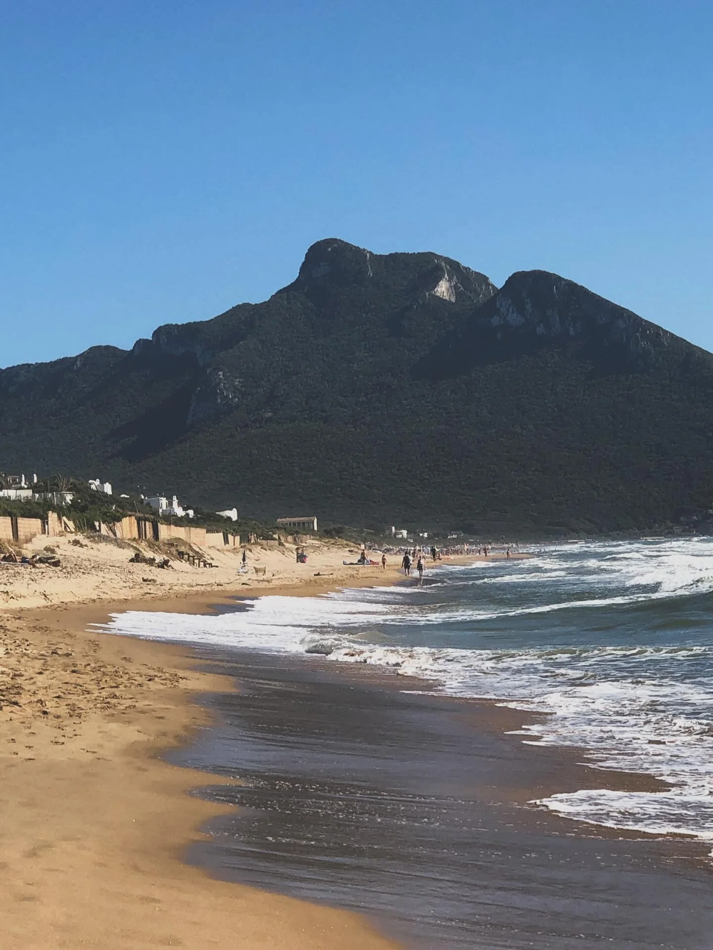 Liland&agrave; Beach ❤️&zwj;🔥
Sabaudia 2022

.
.
.
.
.
#sabaudia #liland&agrave;beach #italy #turism #travel #beach #beachlife #sea #summer #beautiful #photooftheday #travelphotography #travelgram #luxury #travelblogger #wanderlust