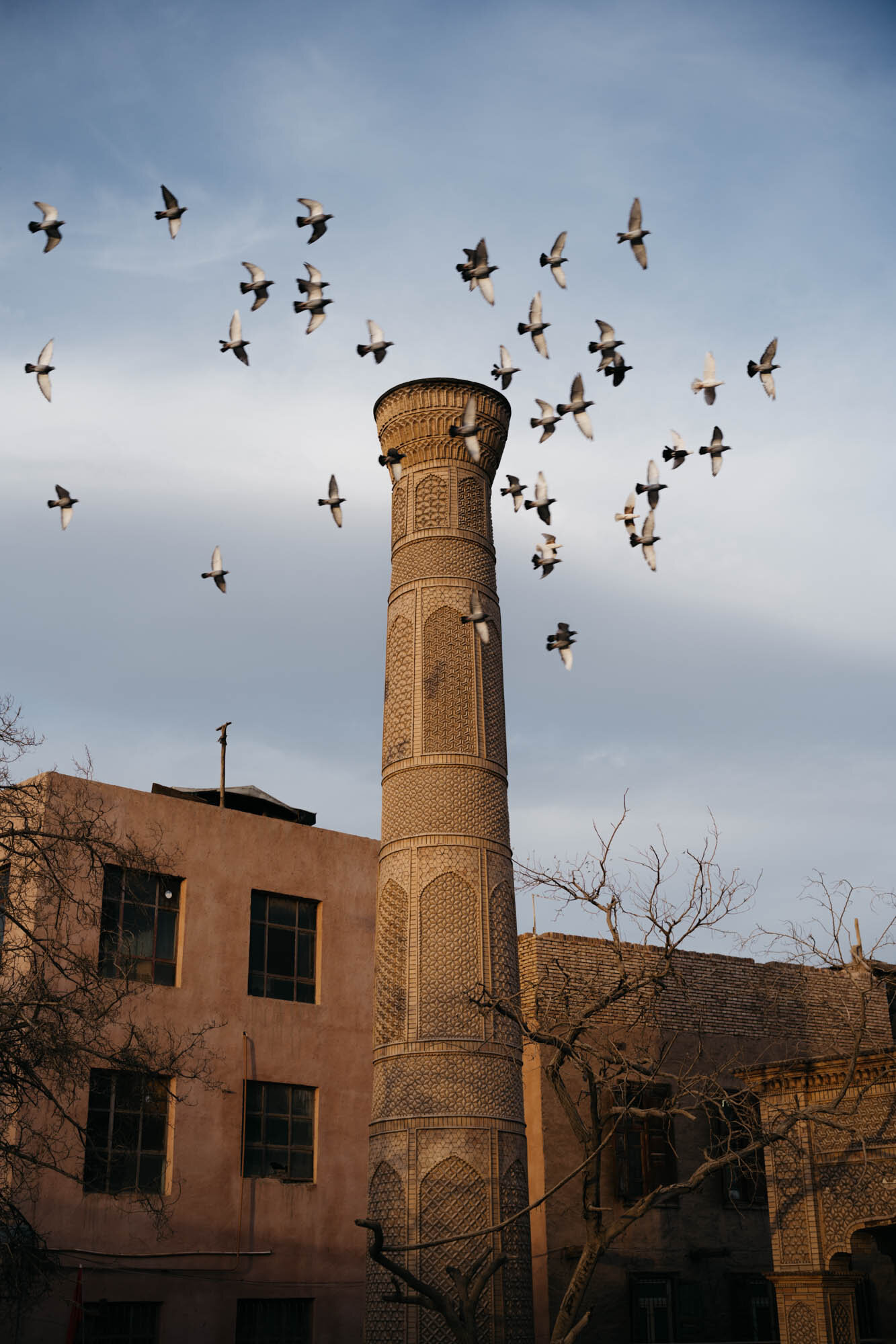  Pigeons fly circles around a minaret 