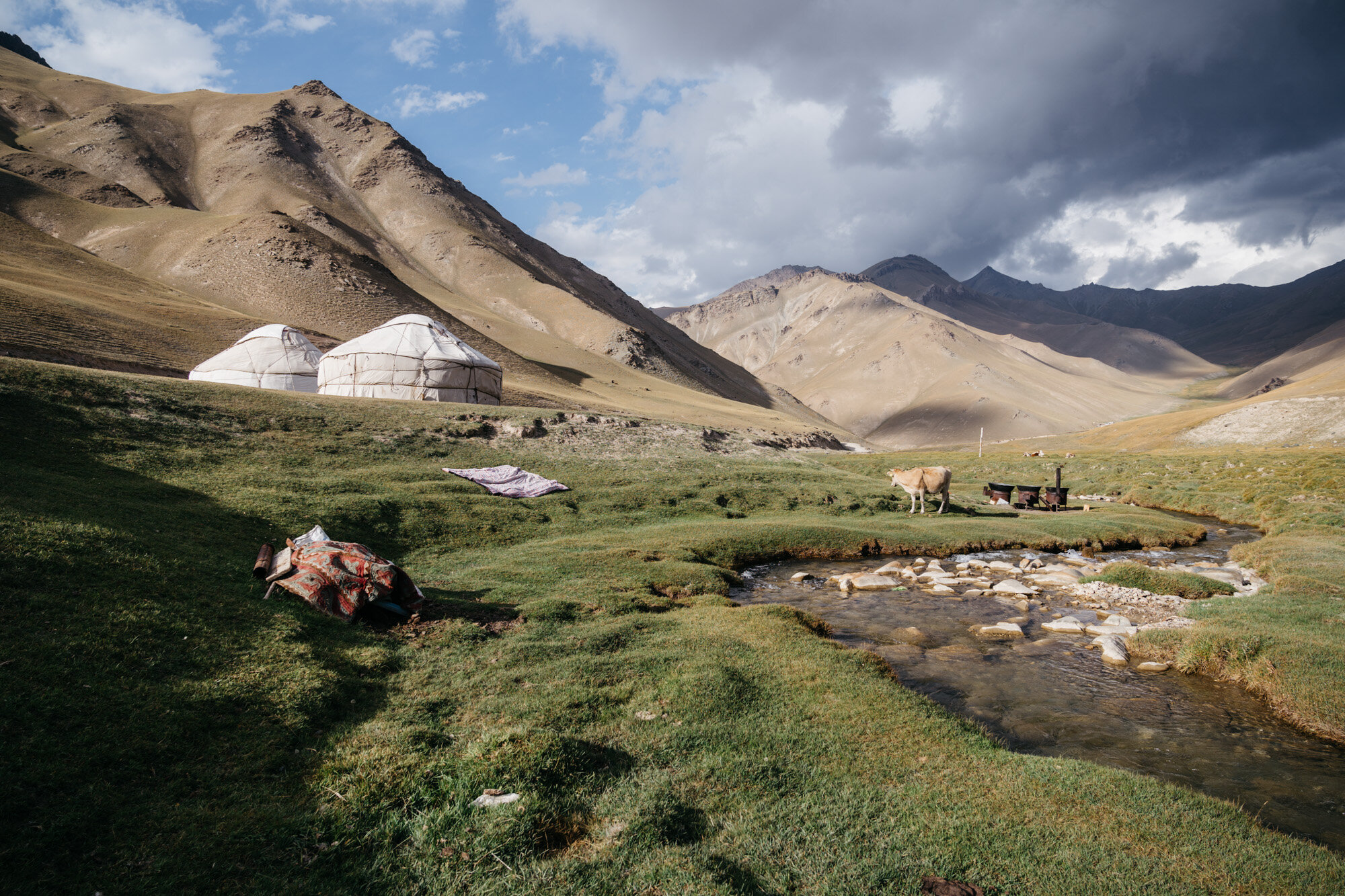  Some nearby yurts and cow by a stream 