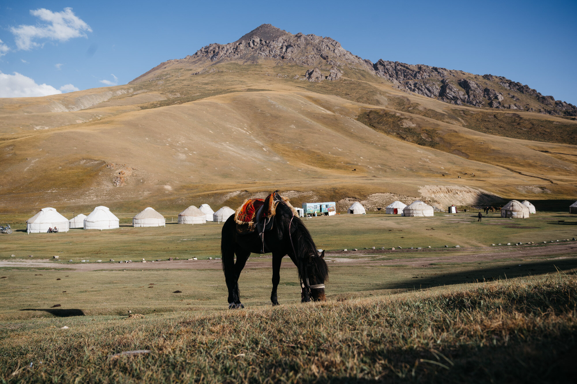  A nearby horse with some yurts in the background 