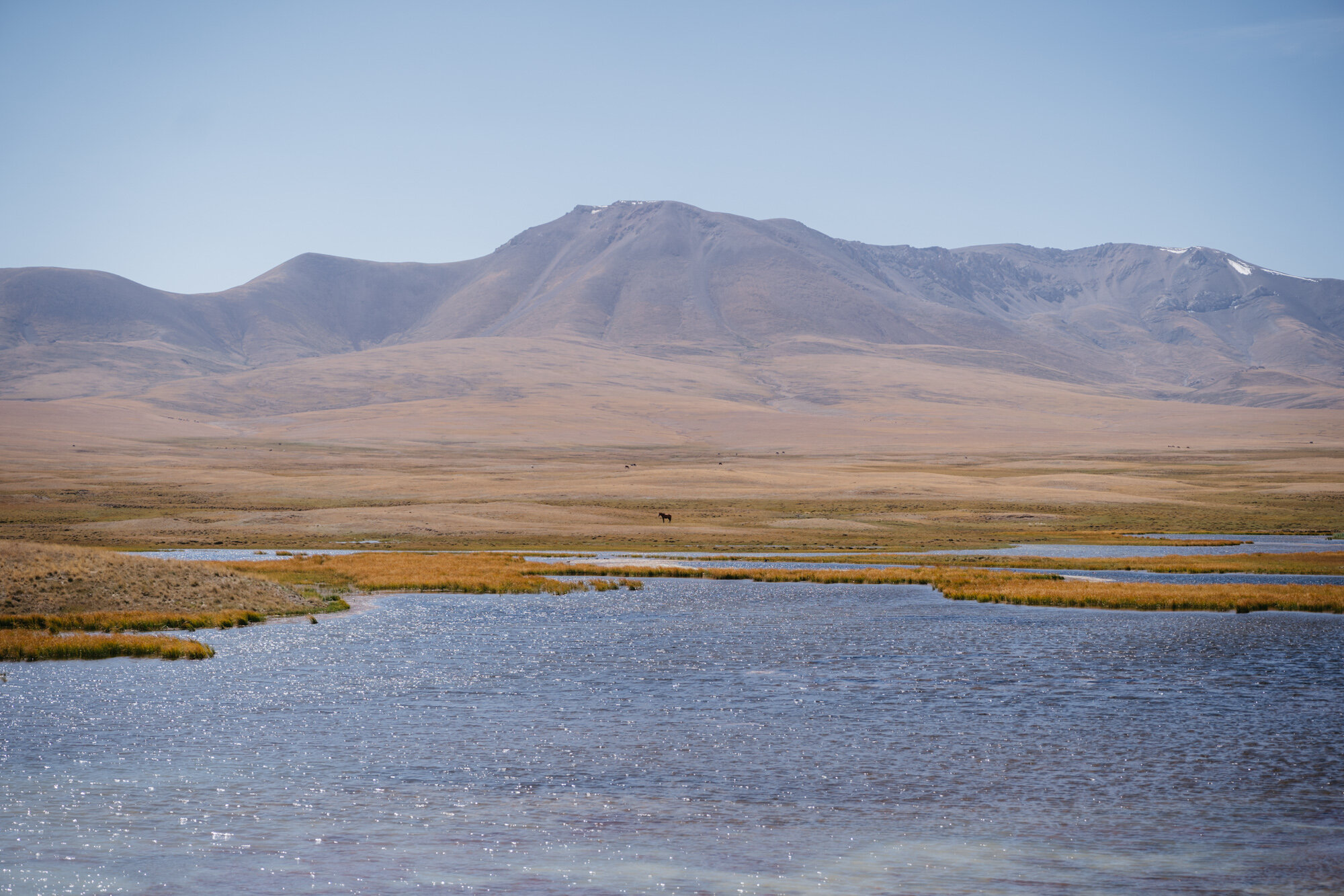  Some landscape shots from the car as we depart 