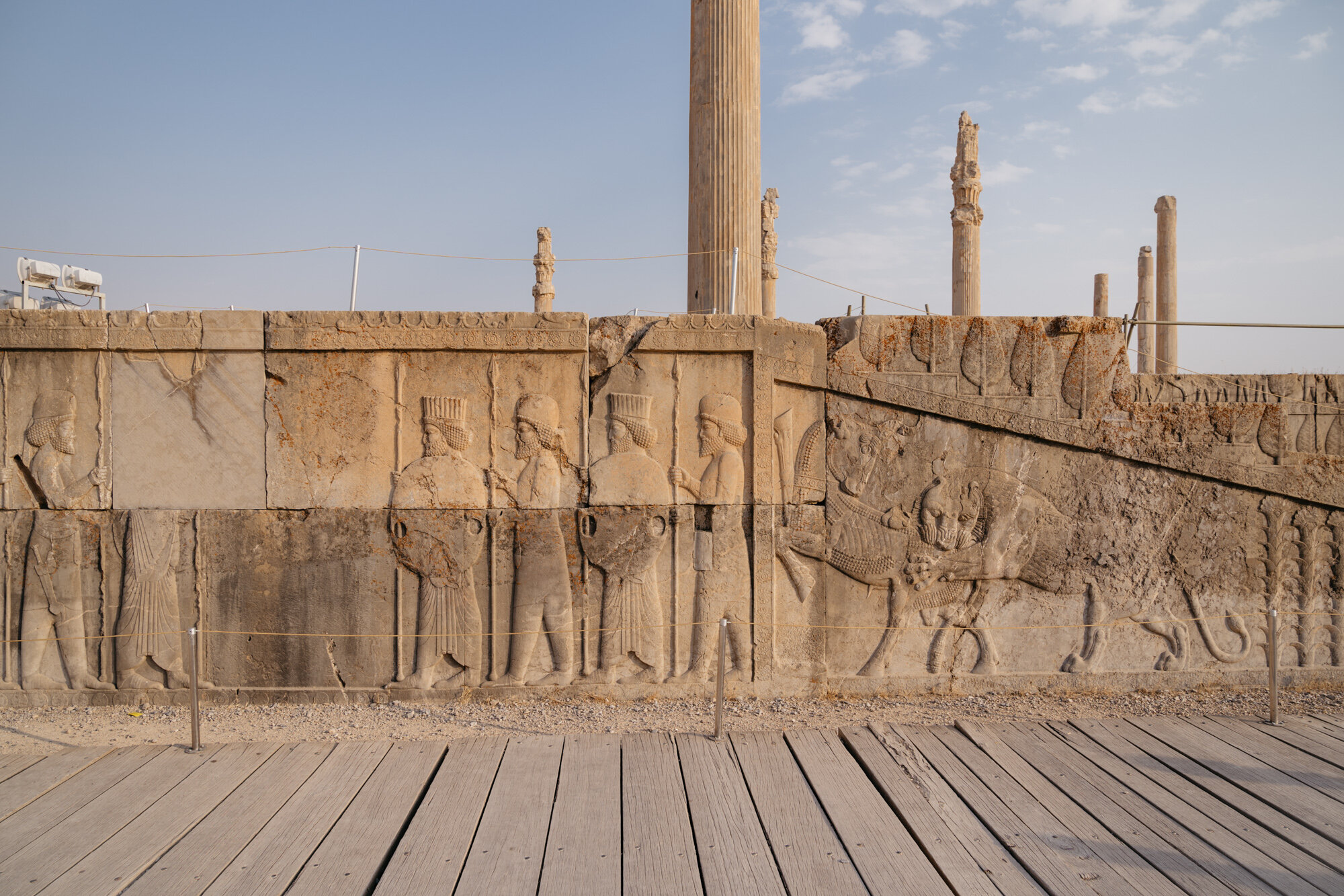  The reliefs at the base of the Apadana (audience hall) of Darius I 