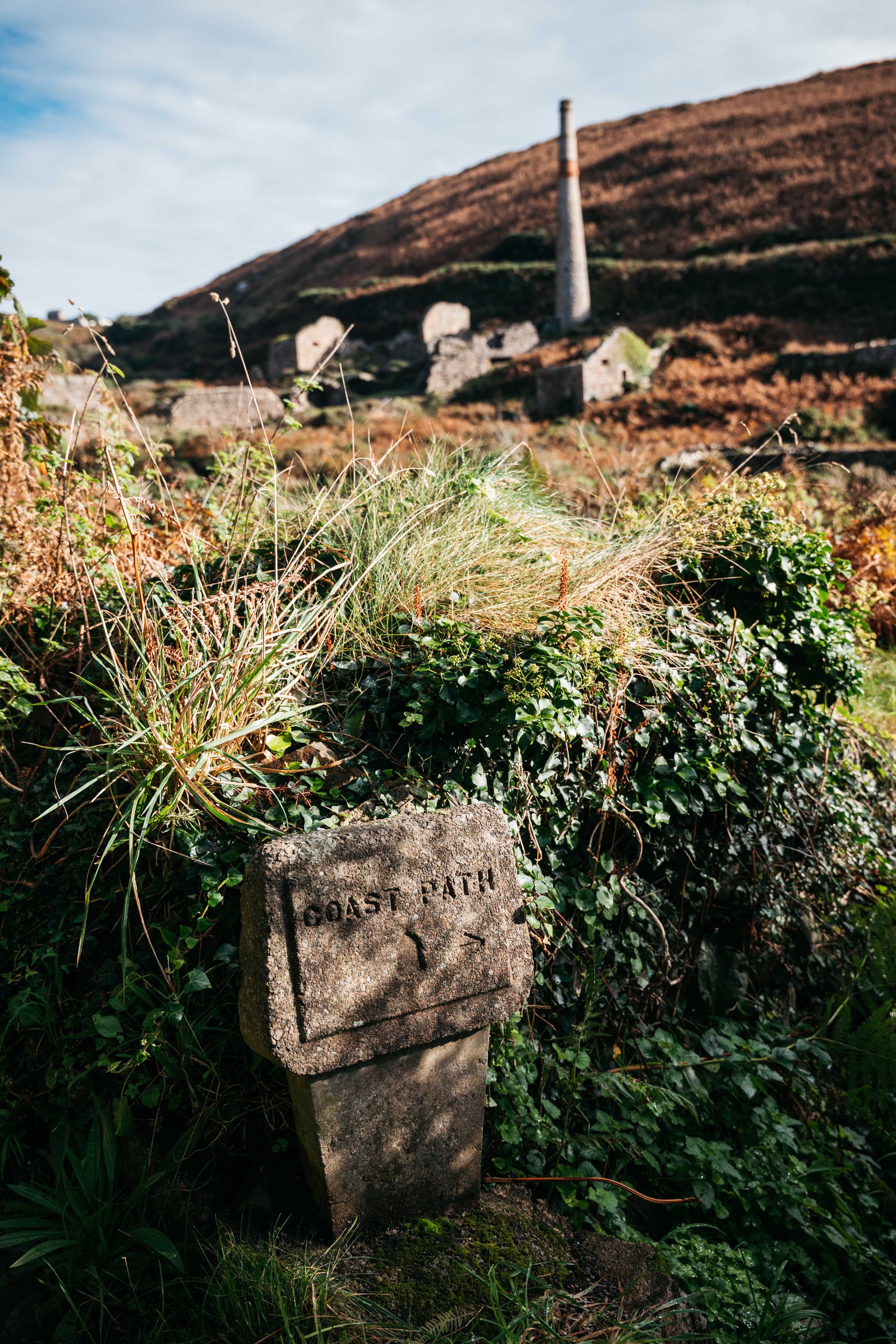  The coastal path passes by the ruins of old tin mines 