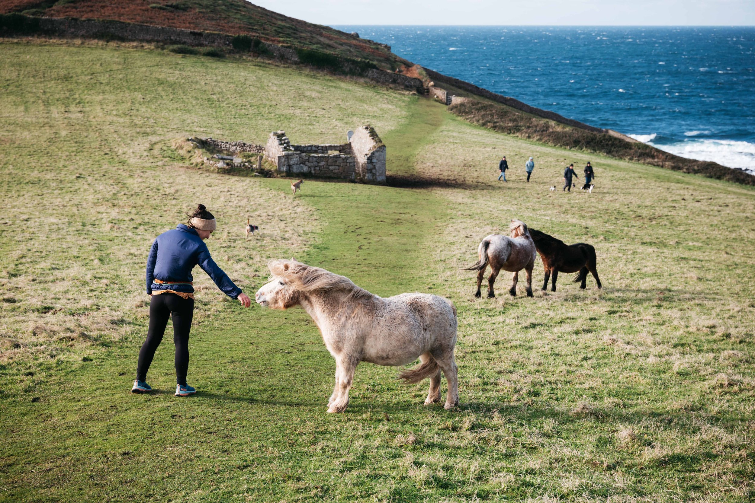  To reach the furthermost mine, you need to walk through a field of ponies 