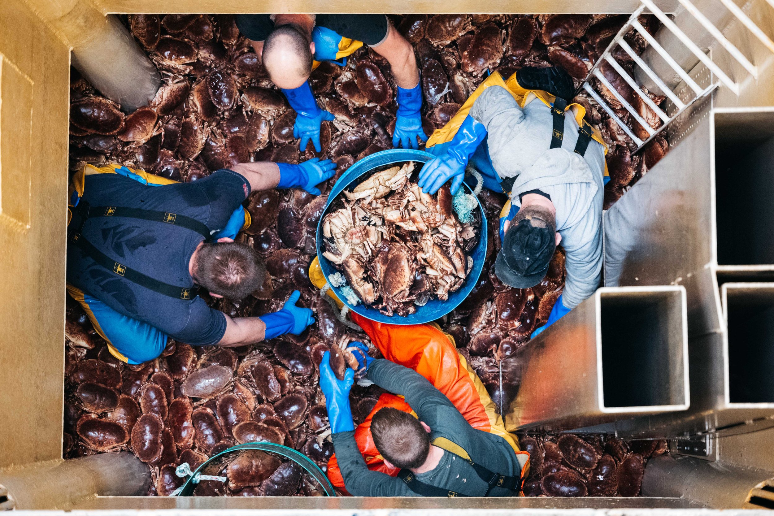  There were several seamen literally sitting on a mountain of crab filling the buckets. 