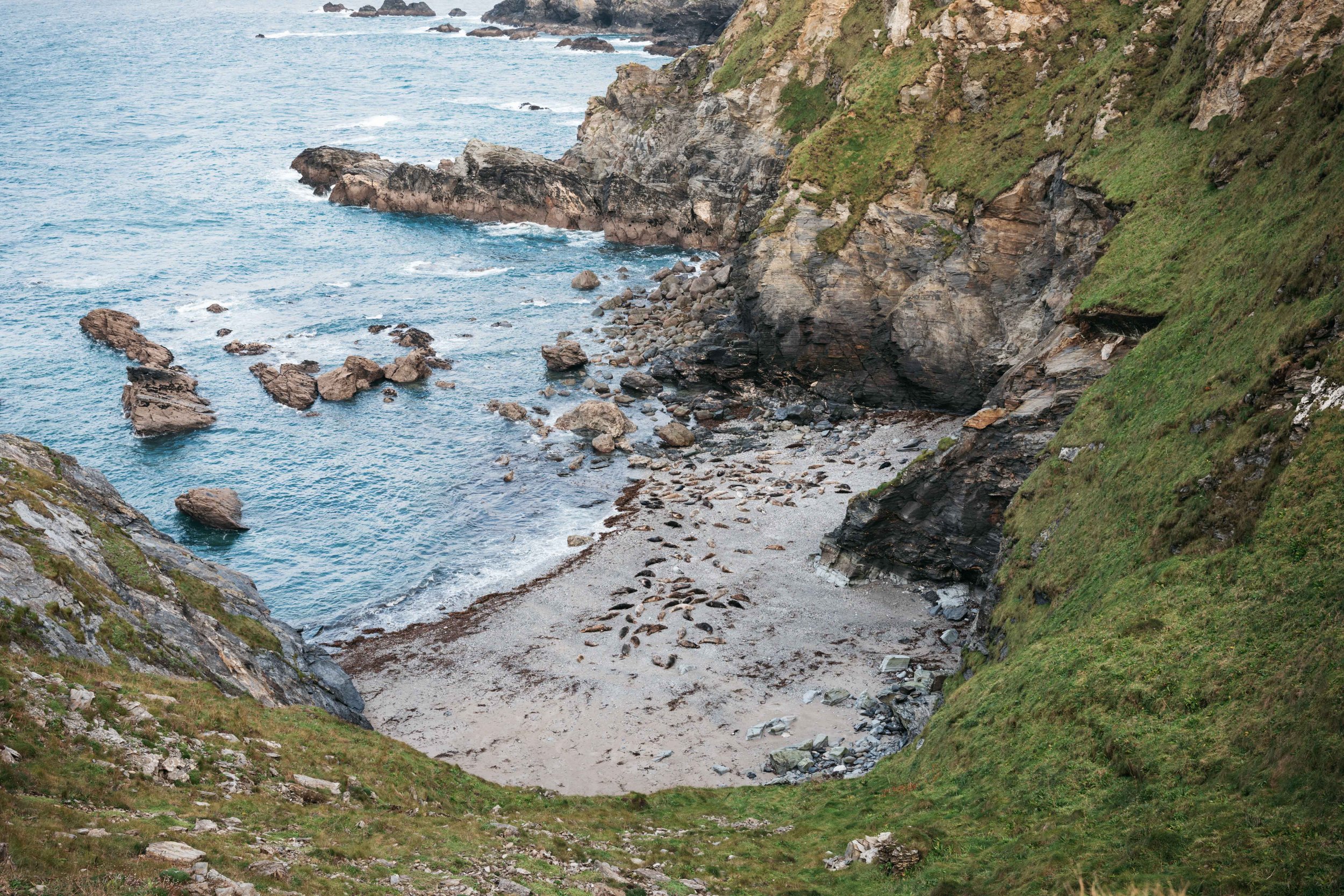  This is where you can find lots of seals hanging about 