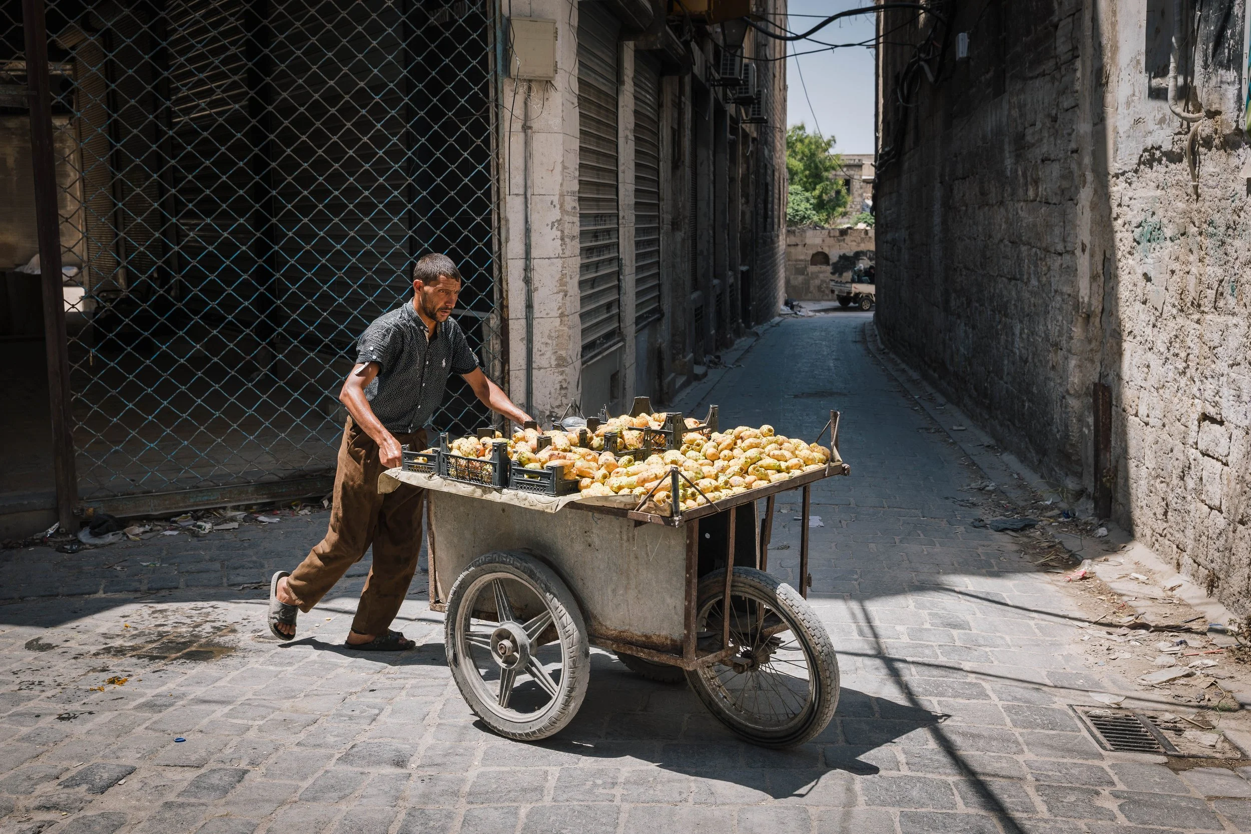  A higos chumbos (prickly pear) / Al-Tin Ash-Shawkî seller 