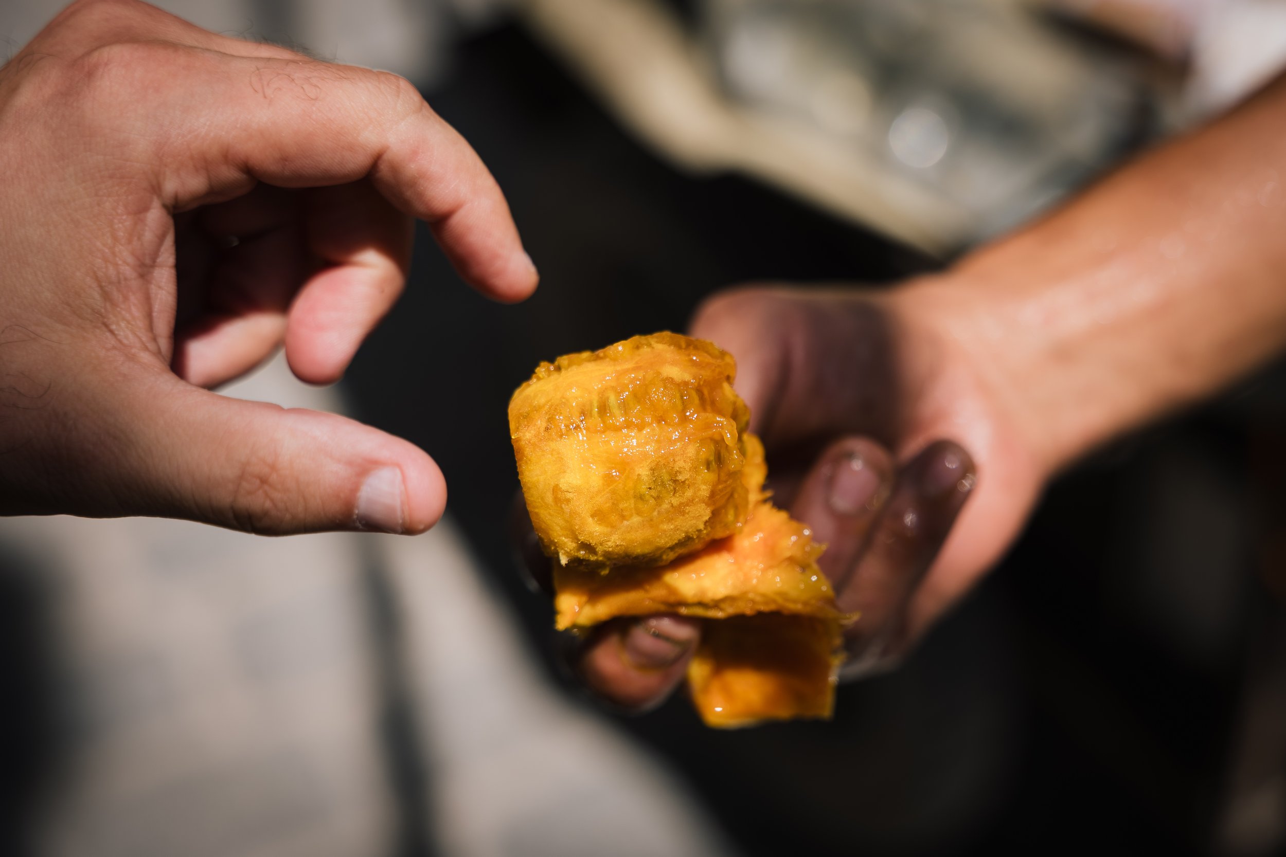  A peeled and ready to eat higos chumbos (prickly pear) / Al-Tin Ash-Shawkî fruit 