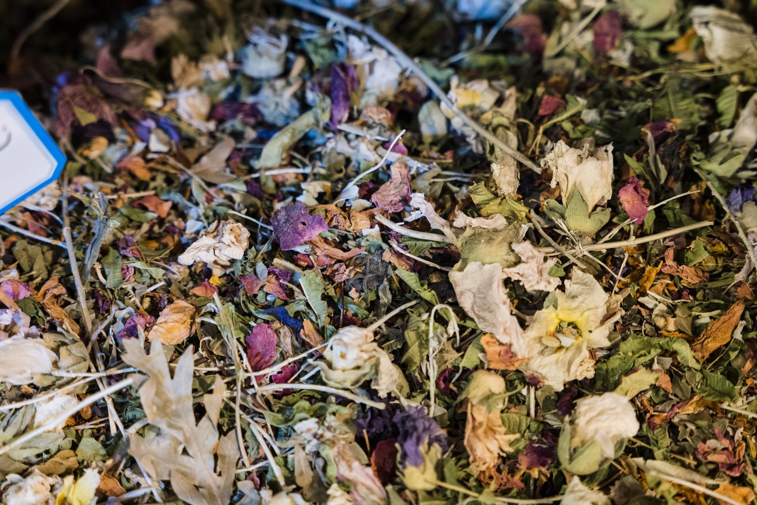 113. Souk of Aleppo - Al-Madina Souk.jpg