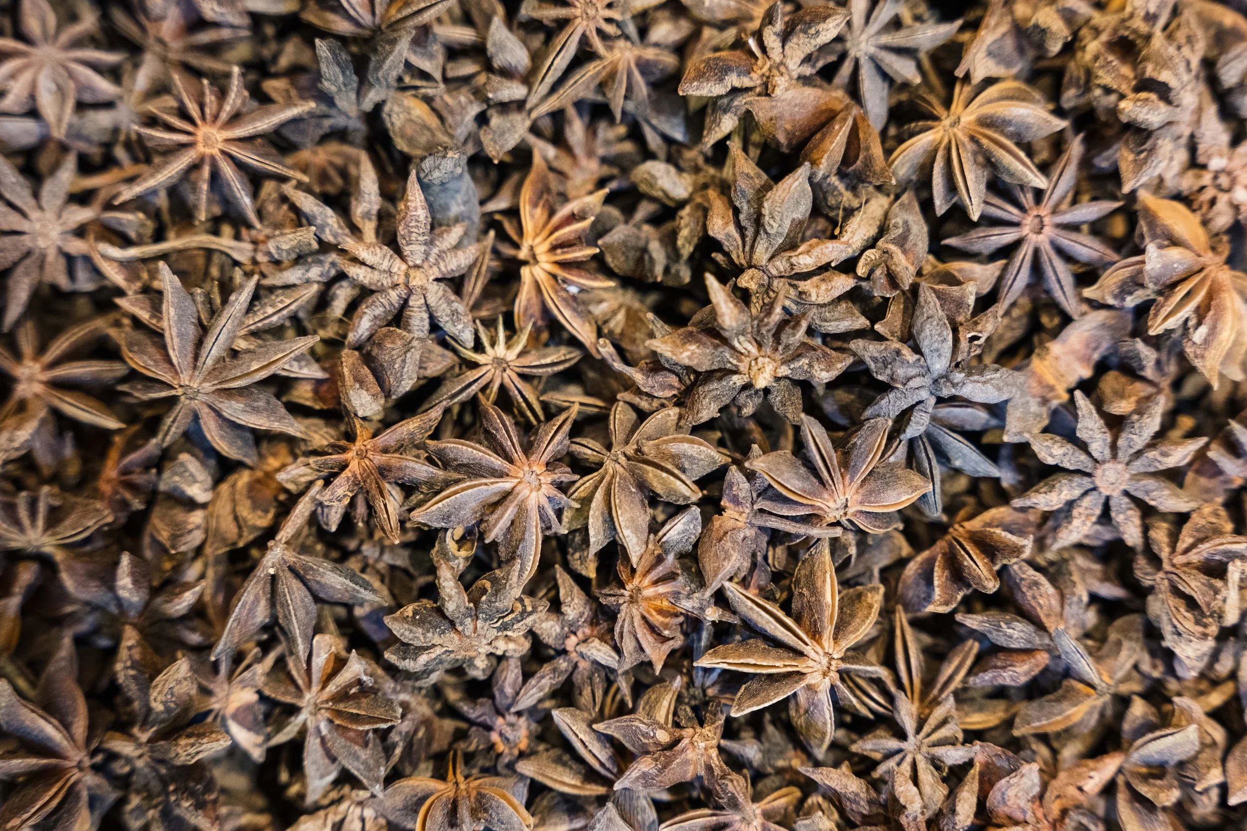 117. Souk of Aleppo - Al-Madina Souk.jpg