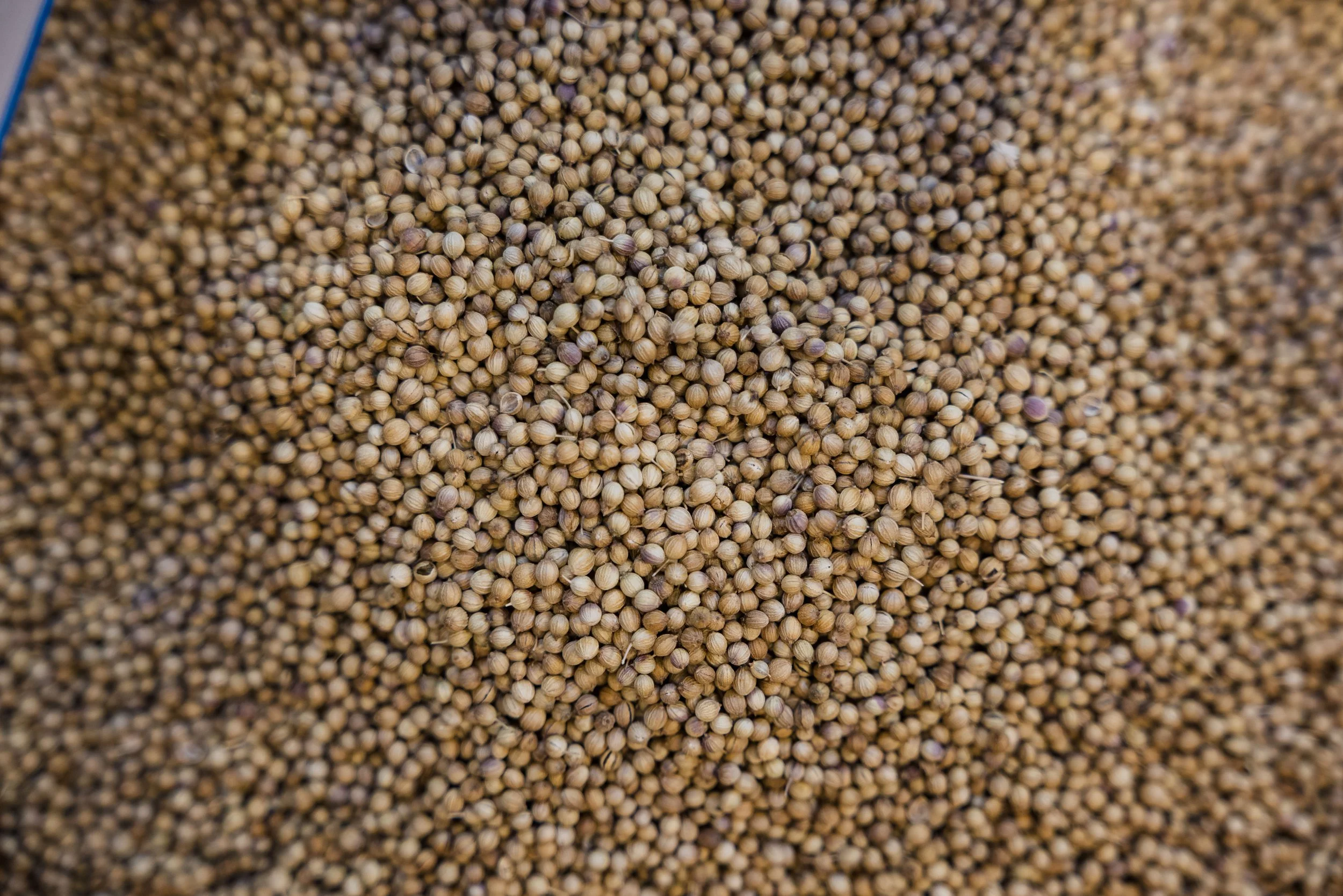 122. Souk of Aleppo - Al-Madina Souk.jpg