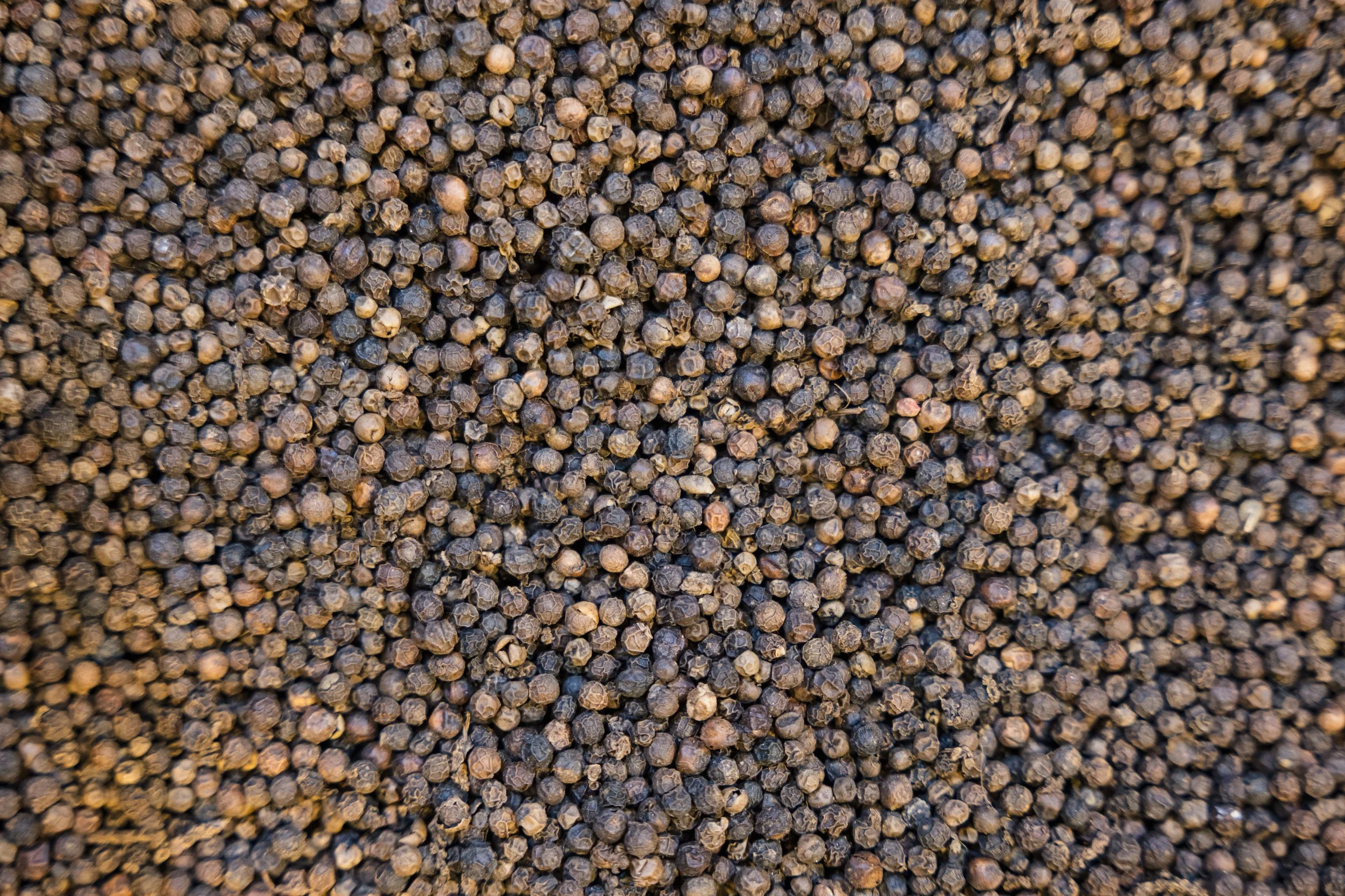 123. Souk of Aleppo - Al-Madina Souk.jpg