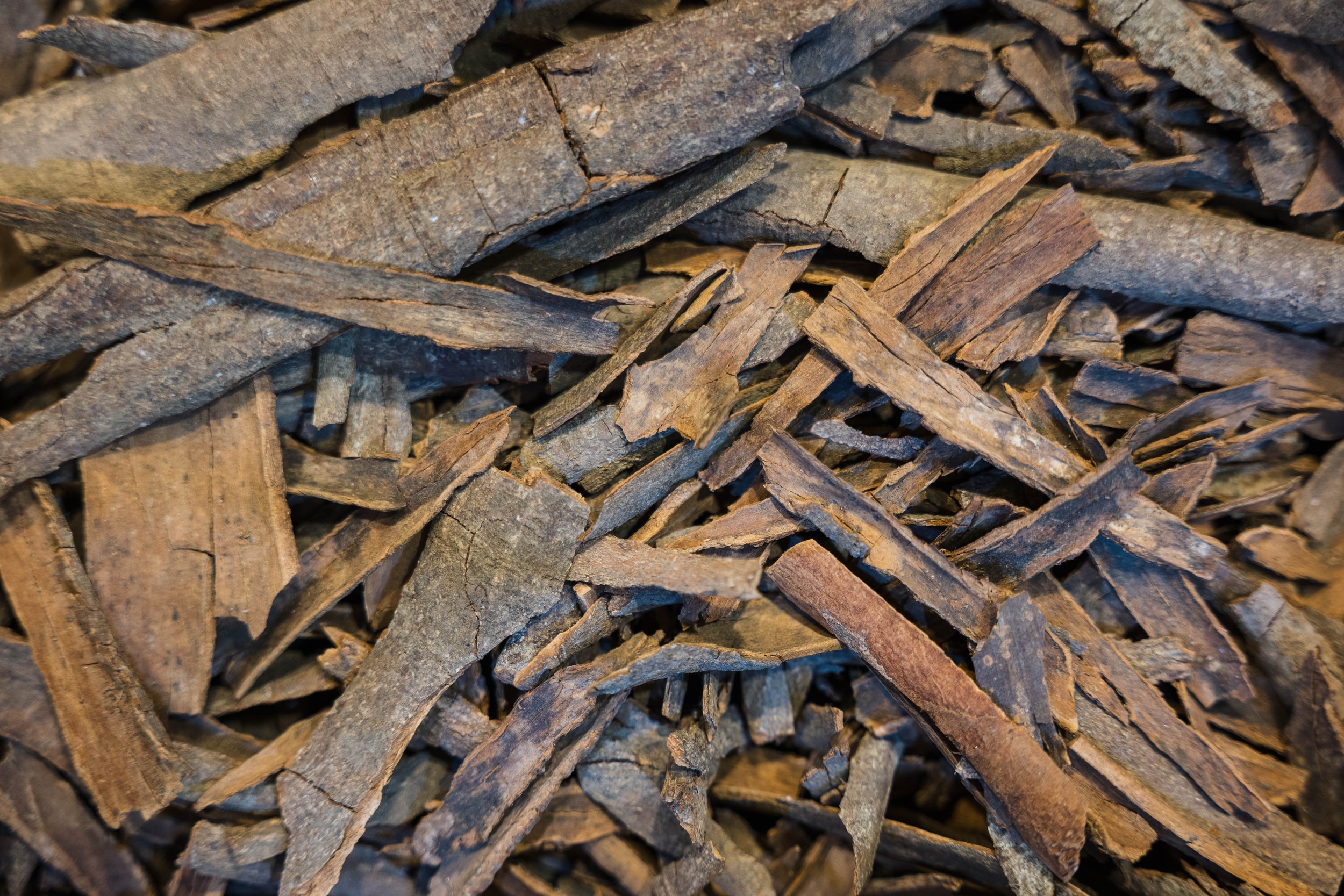 127. Souk of Aleppo - Al-Madina Souk.jpg