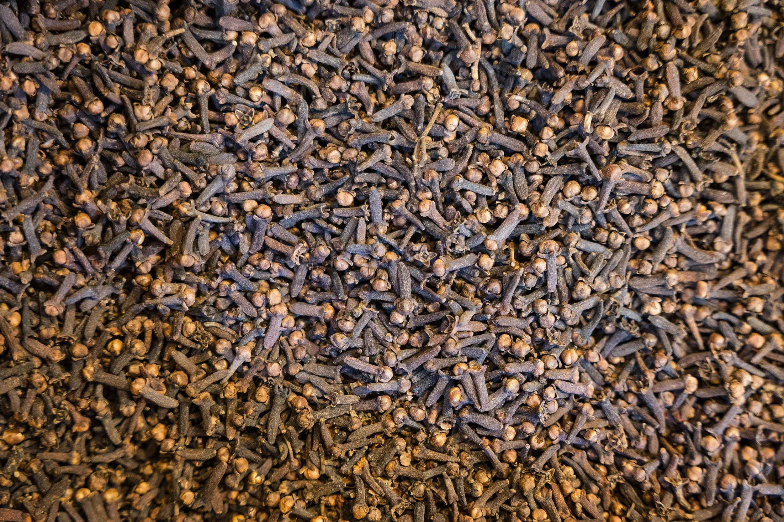 128. Souk of Aleppo - Al-Madina Souk.jpg